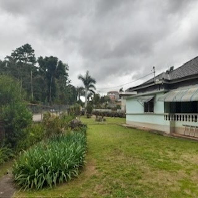 House For Sale: CEDAR GROVE, Mandeville | $350,000 photo 4