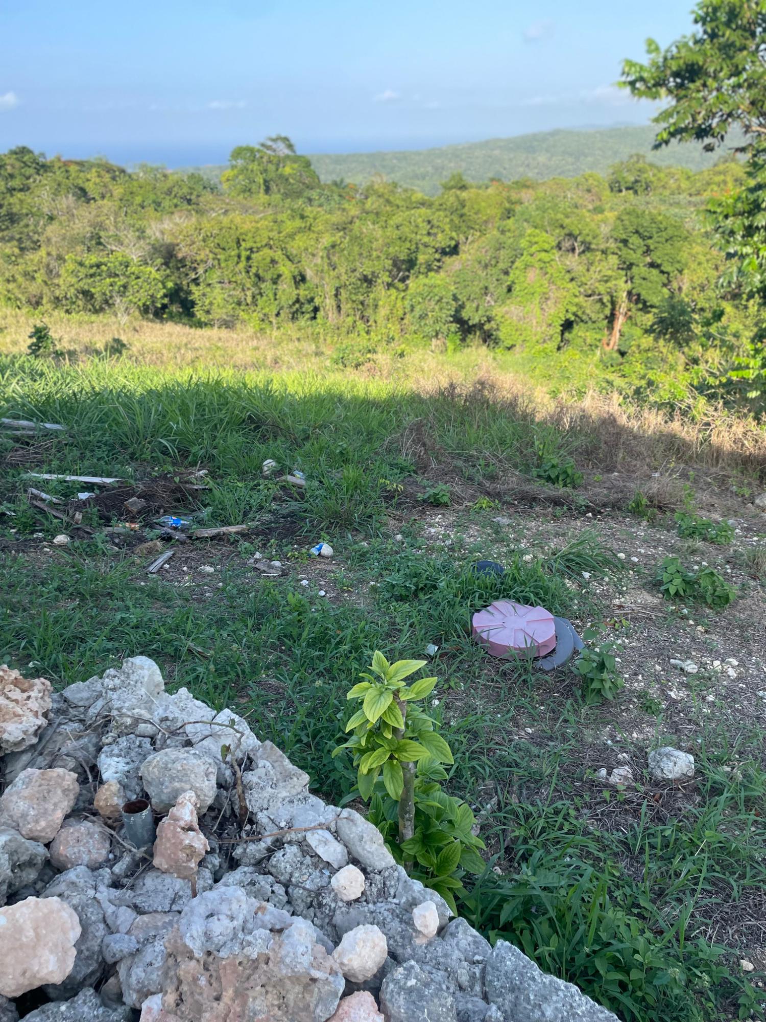 House For Sale: LOT ~@619 EAST BOULEVARD, Three Hills | $63,000,000 photo 4