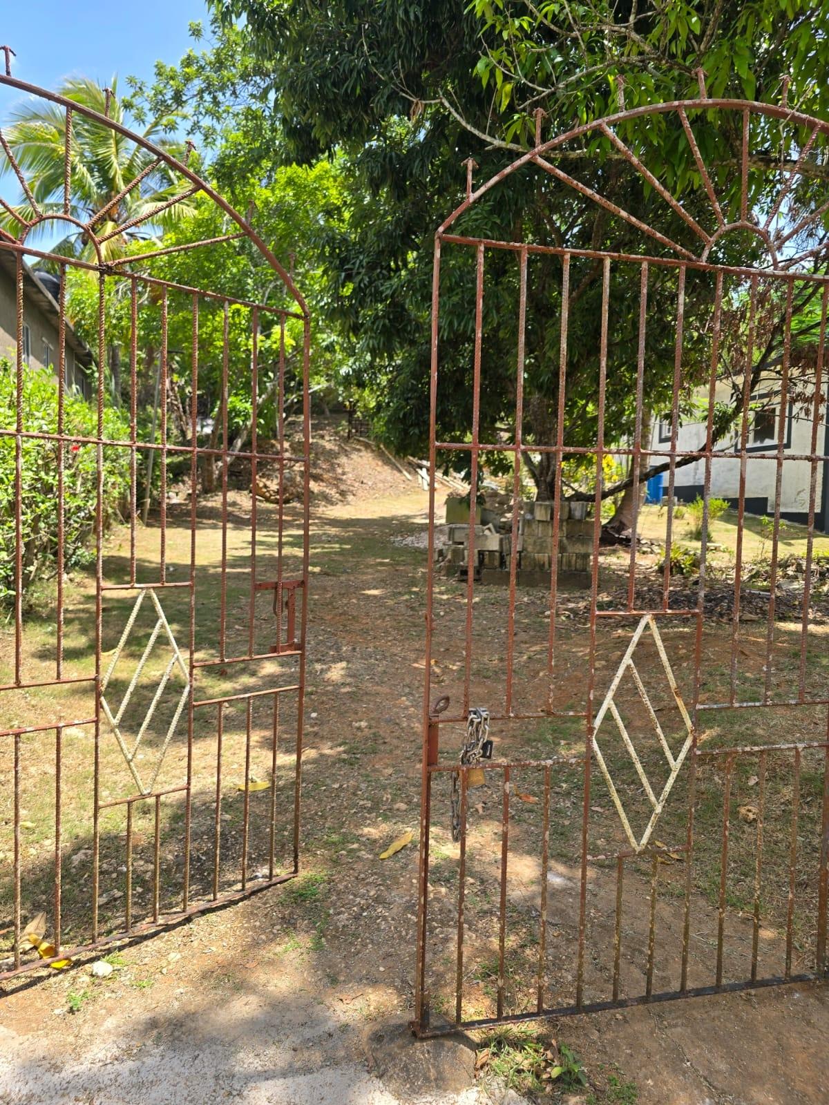 House For Sale: ORANGEFIELD DISTRICT, Linstead | $18,500,000 photo 4