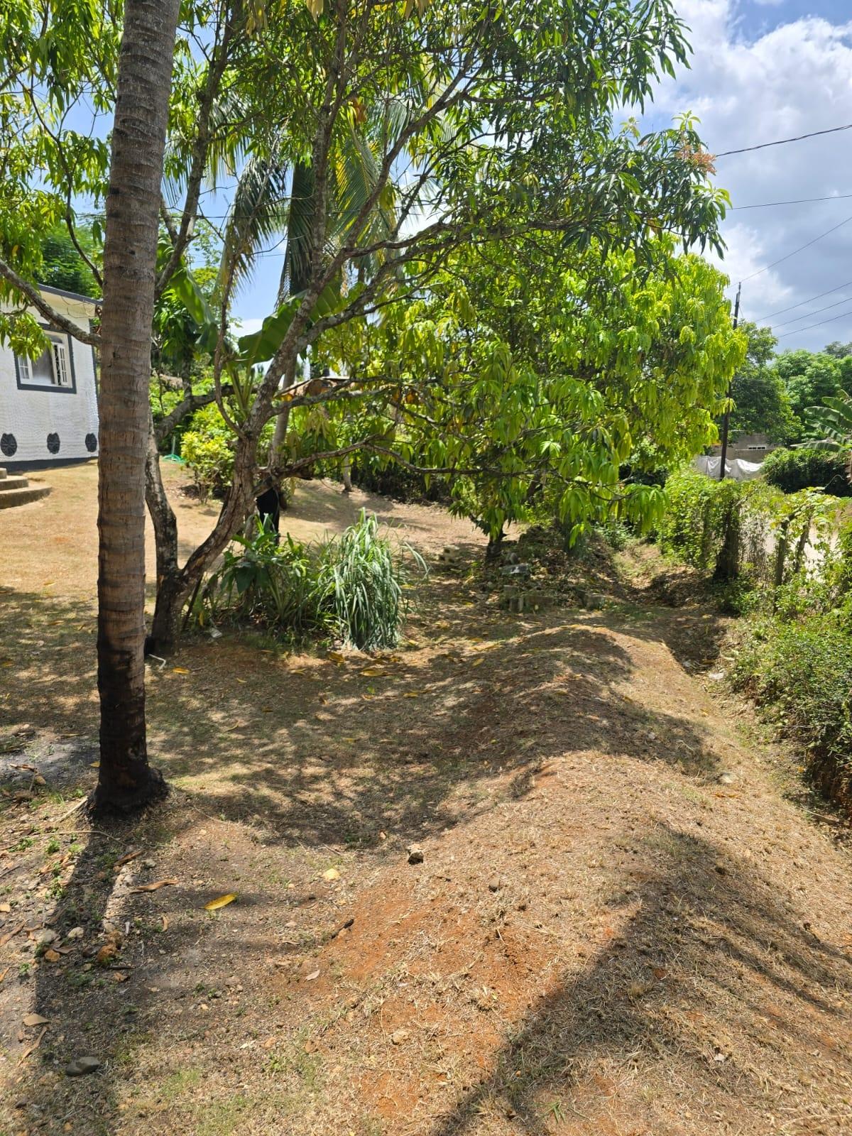 House For Sale: ORANGEFIELD DISTRICT, Linstead | $18,500,000 photo 6