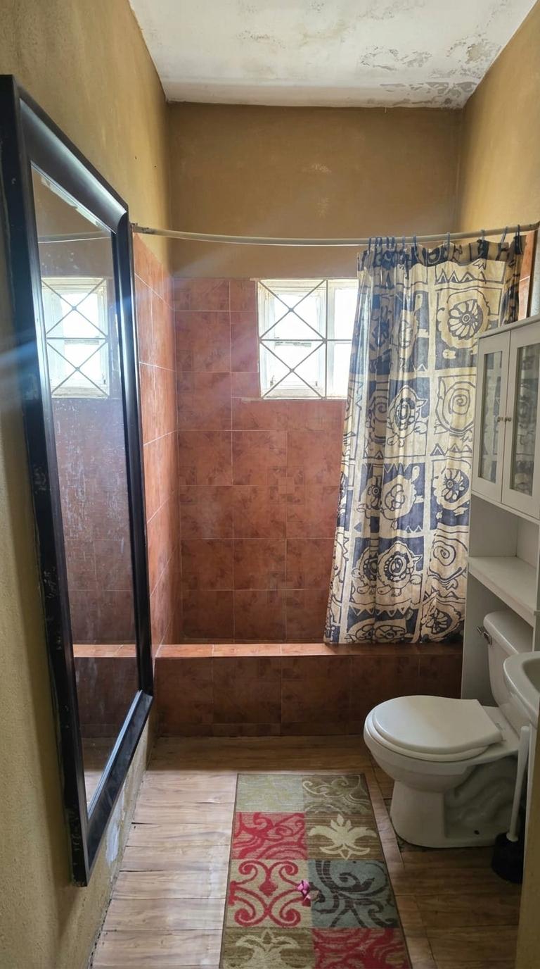 House For Sale: ORANGEFIELD DISTRICT, Linstead | $18,500,000 photo 12
