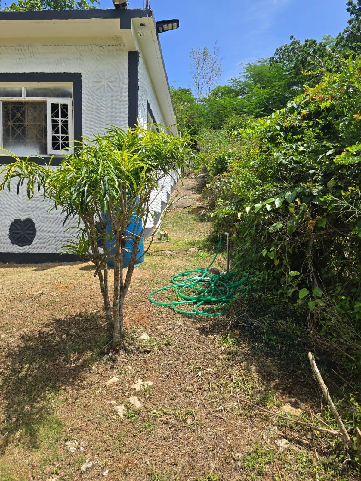 House For Sale: ORANGEFIELD DISTRICT, Linstead | $18,500,000 photo 17