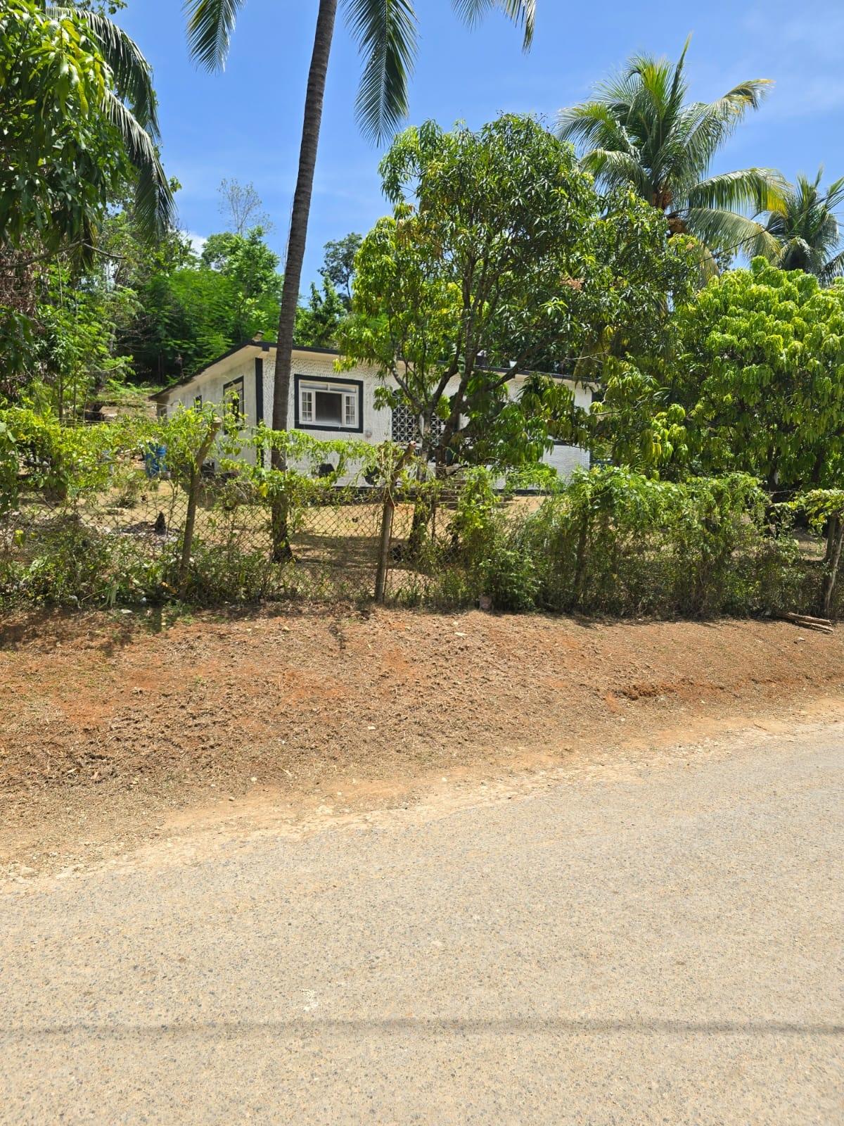 House For Sale: ORANGEFIELD DISTRICT, Linstead | $18,500,000 photo 18