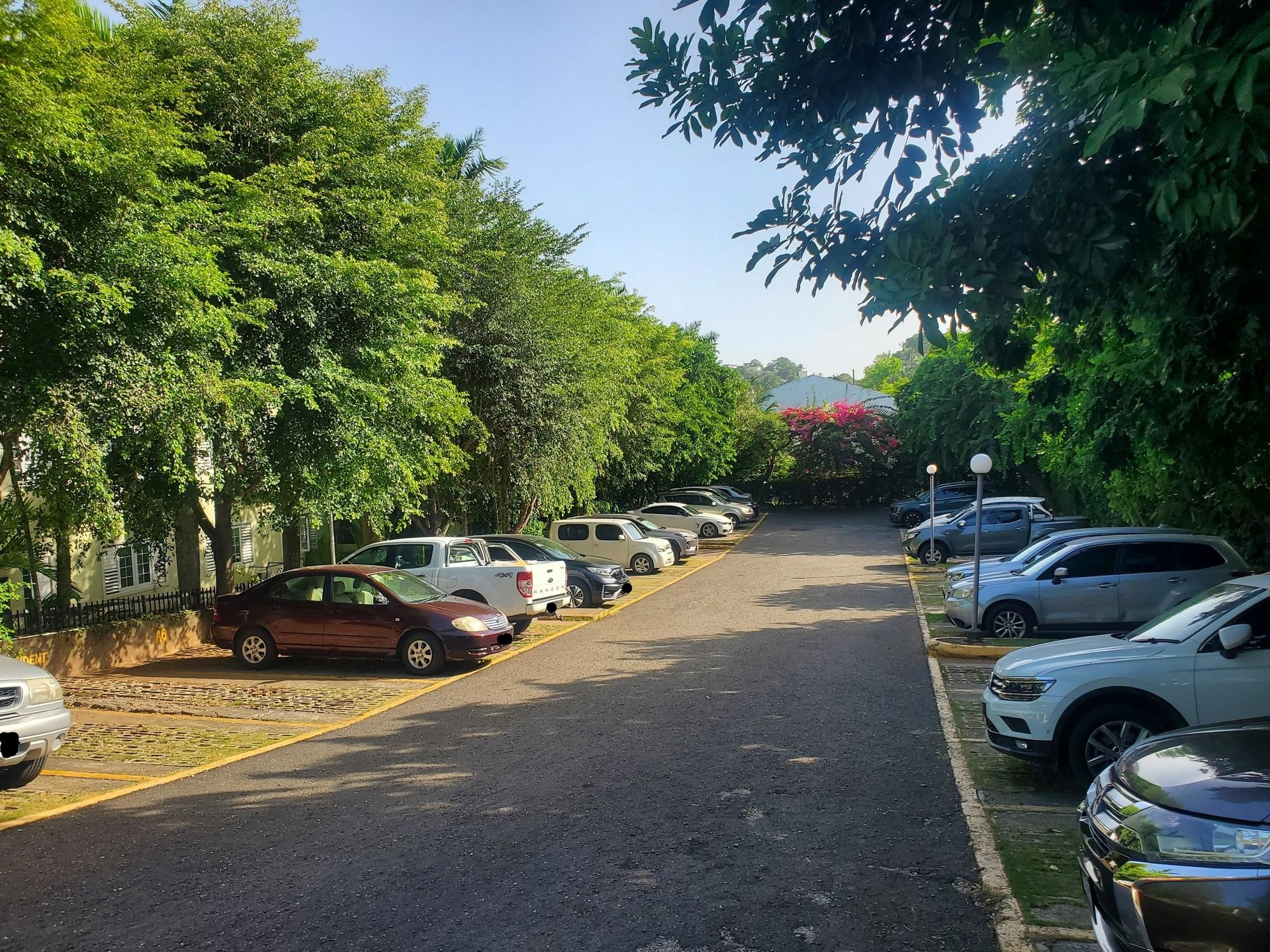 Apartment For Rent: STILLWELL ROAD, Kingston 8 | $210,000 photo 3