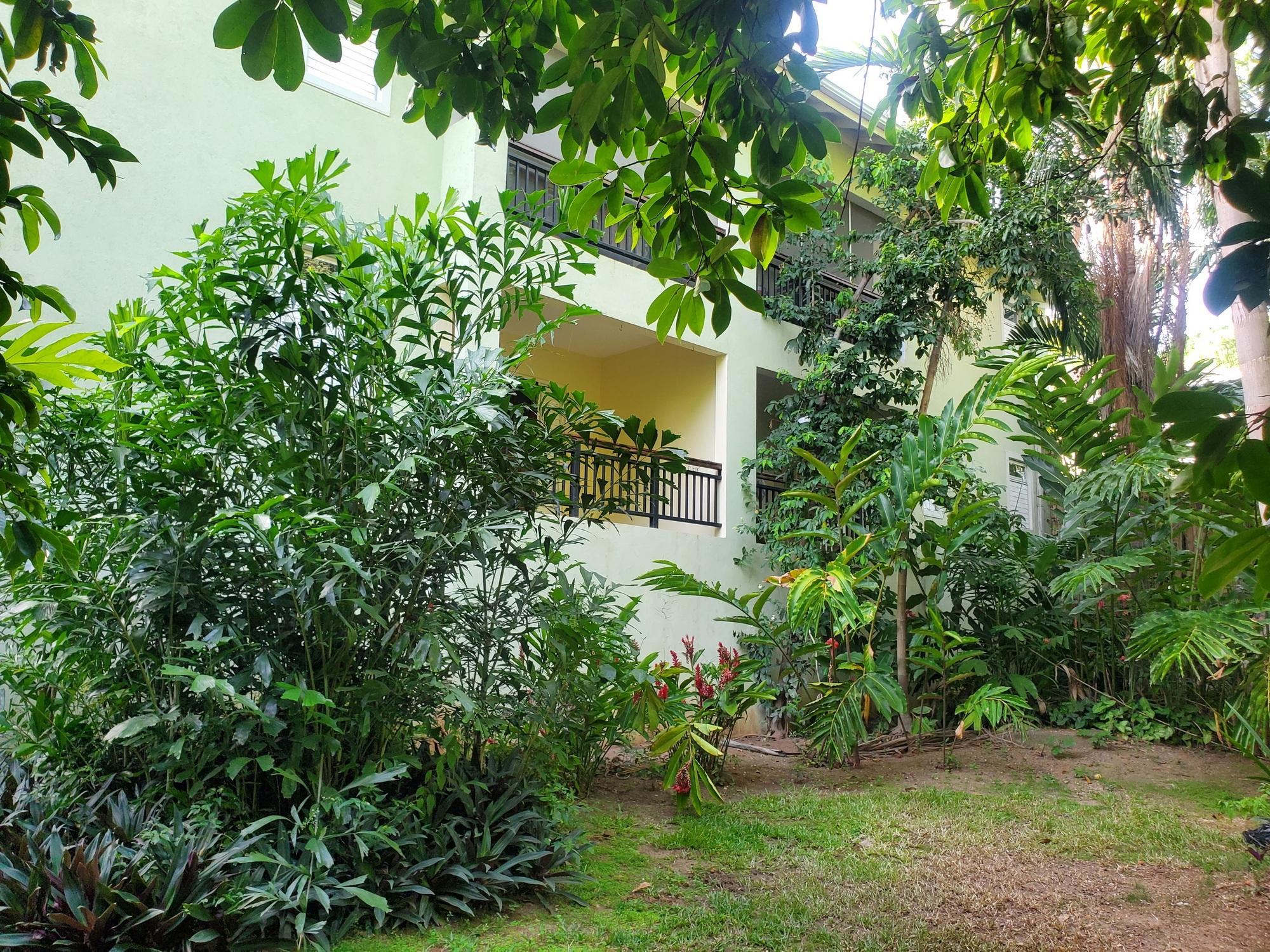 Apartment For Rent: STILLWELL ROAD, Kingston 8 | $210,000 photo 22