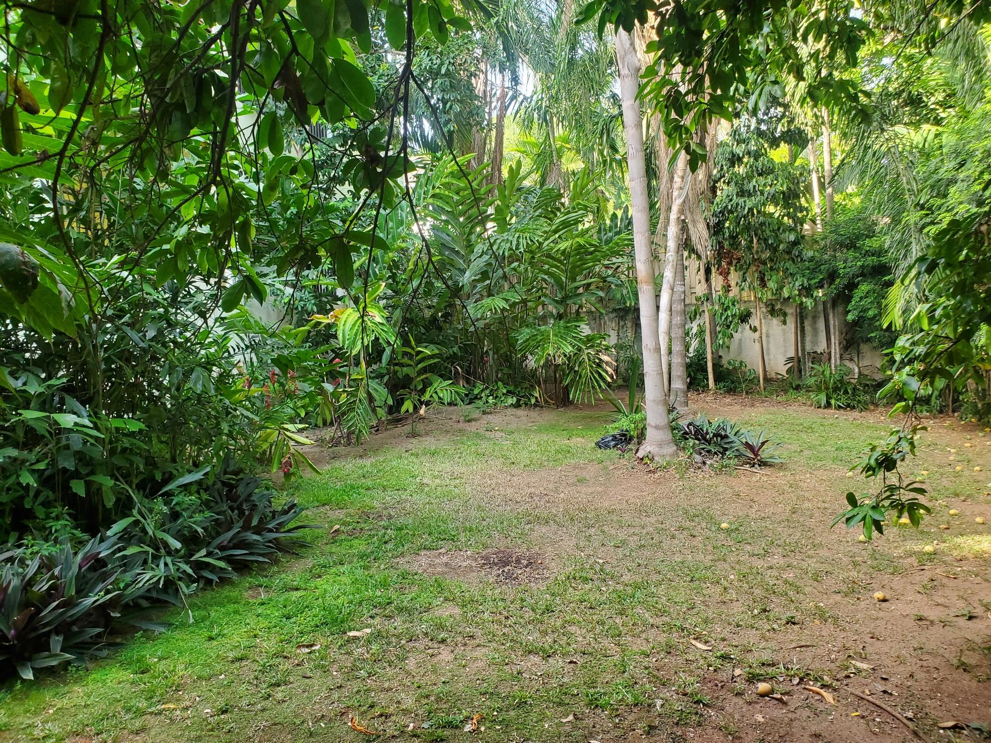 Apartment For Rent: STILLWELL ROAD, Kingston 8 | $210,000 photo 23