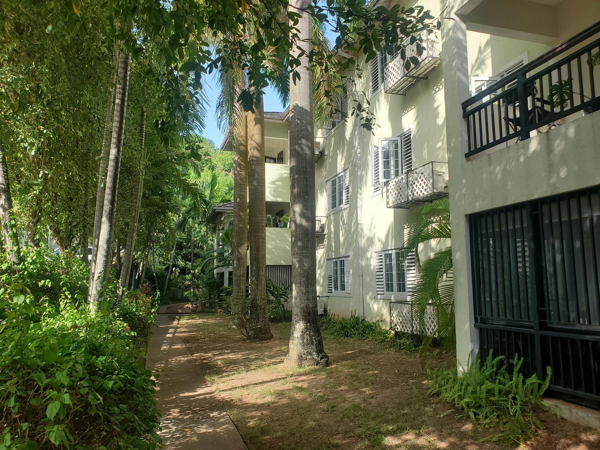 Apartment For Rent: STILLWELL ROAD, Kingston 8 | $210,000 photo 24