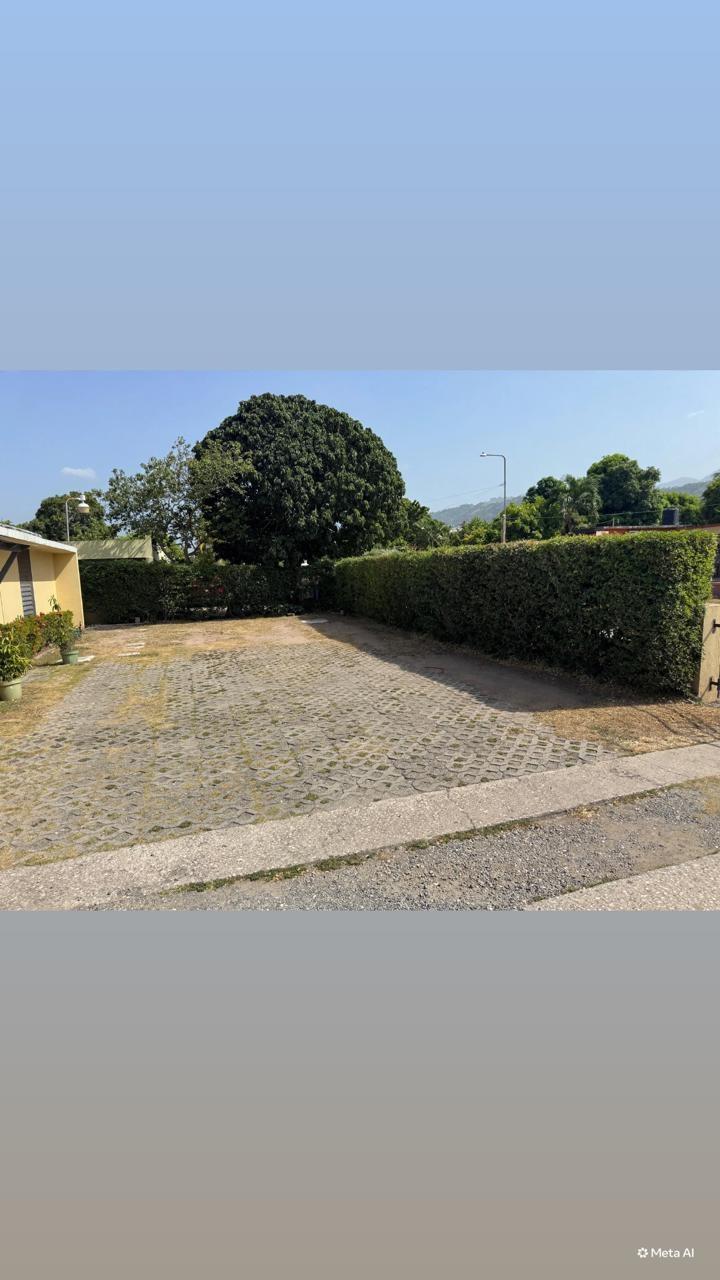 House For Sale: CARANATION WAY, MONA KI, Kingston 6 | $70,000,000 photo 3