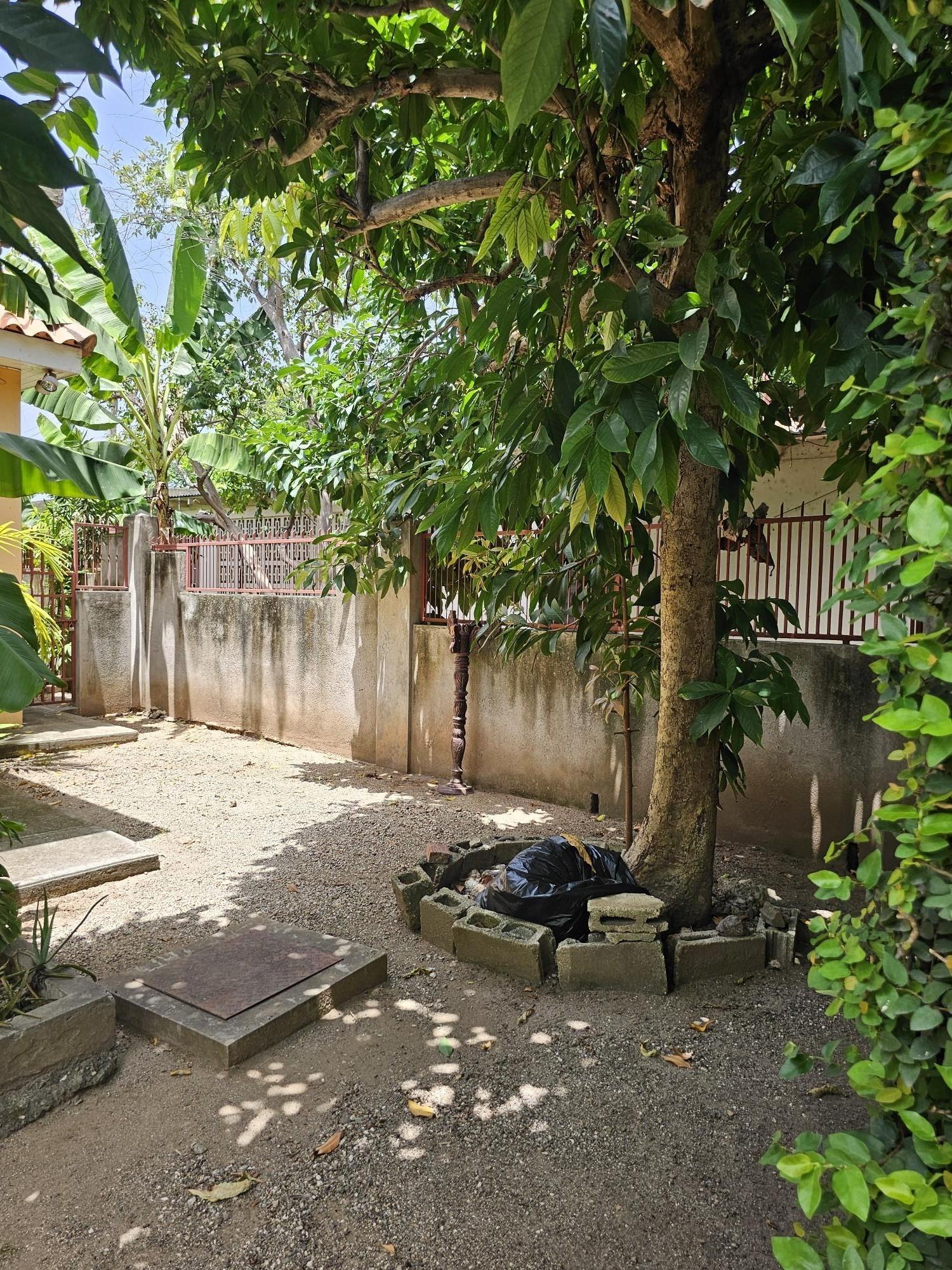 House For Sale: PONCIANA GROVE, Kingston 19 | $48,000,000 photo 22