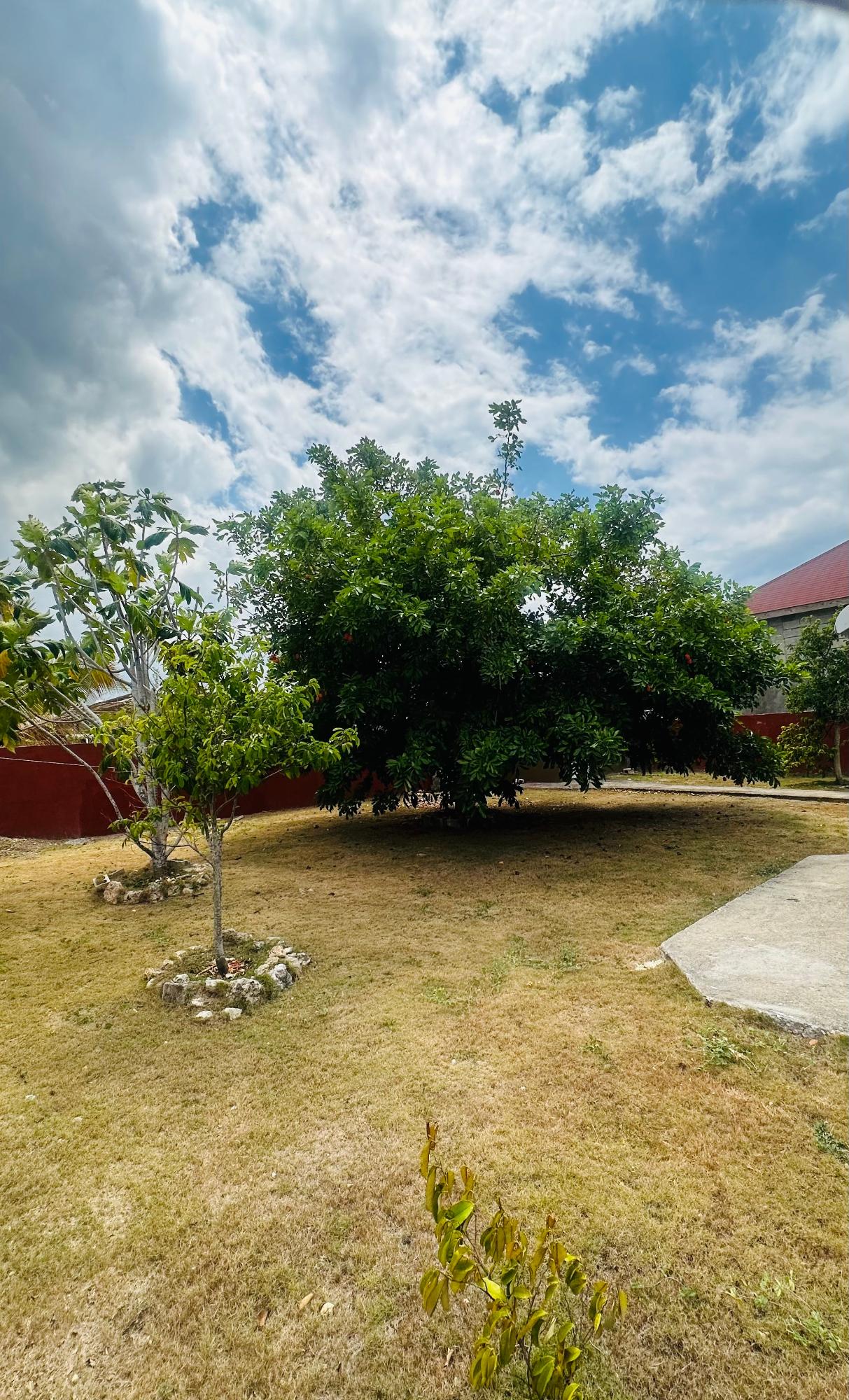 House For Sale: BANANAQUIT WAY, Coral Spring | $33,500,000 photo 11