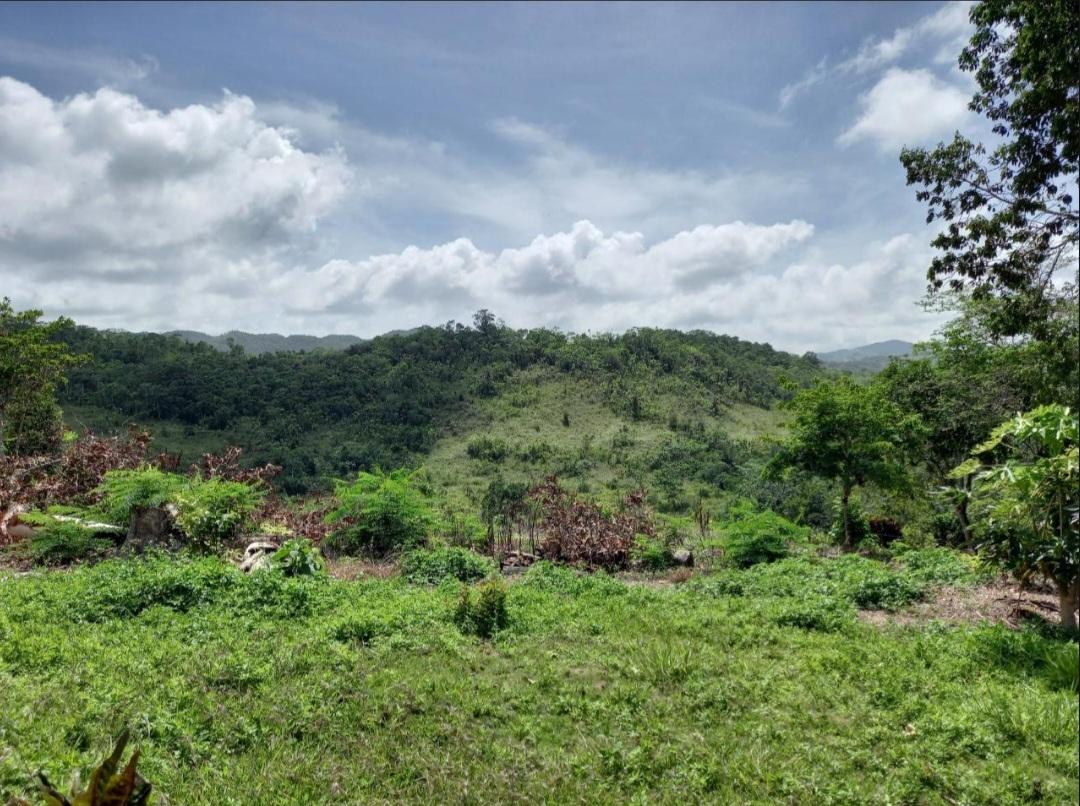 House For Sale: CLAREMONT, Claremont | $450,000 photo 6