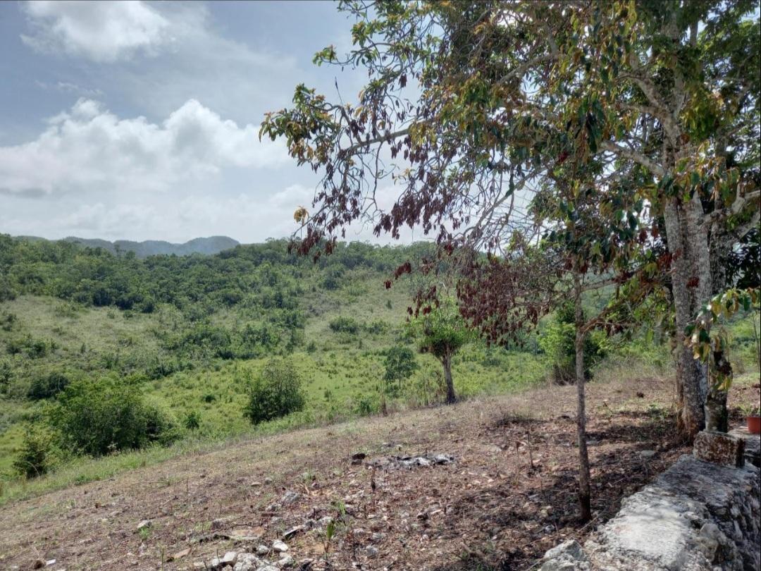 House For Sale: CLAREMONT, Claremont | $450,000 photo 7