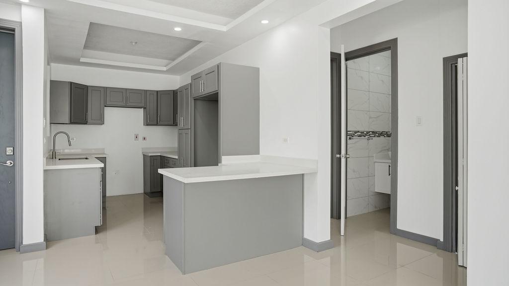 Apartment For Sale: BARRINGTON DR. ST. ANDREW, Kingston 19 | $50,000,000 photo 4