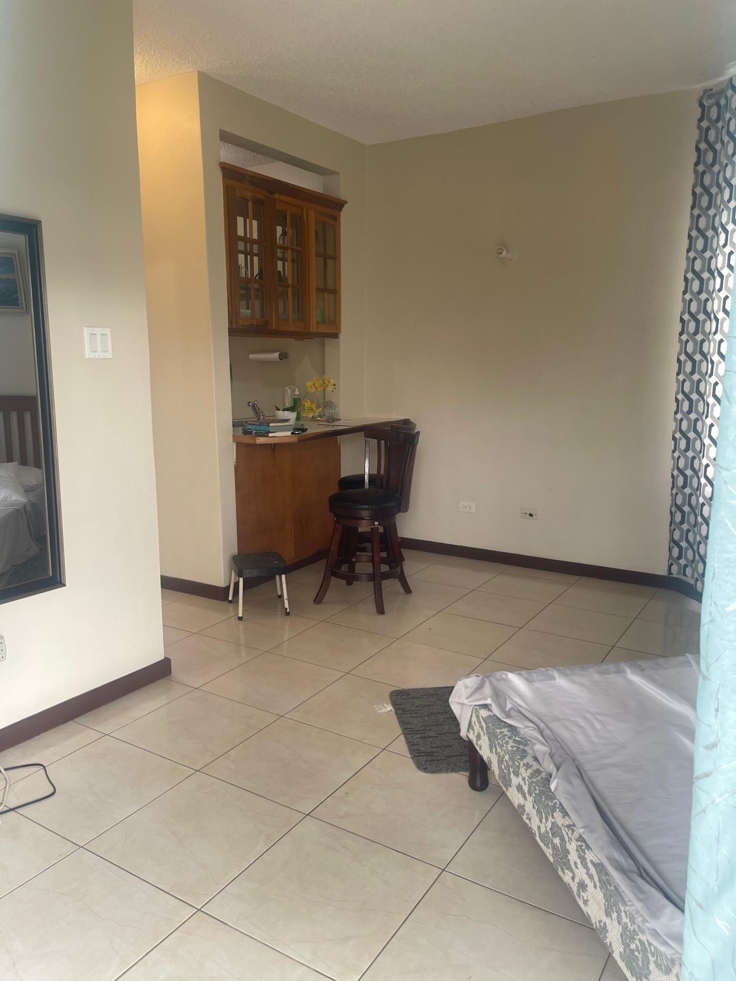 Apartment For Sale: HOPE ROAD, KINGSTON 6, Kingston 6 | $25,000,000 photo 3