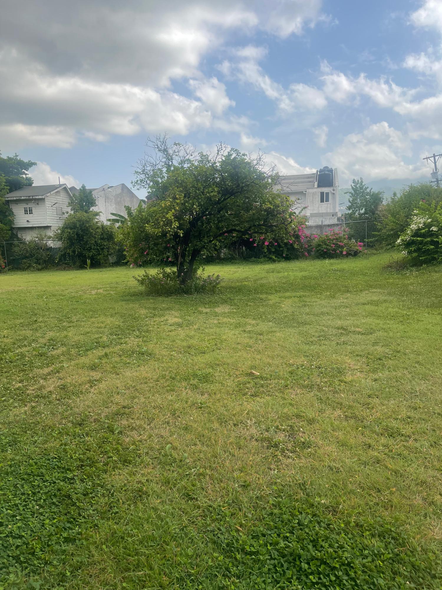Apartment For Sale: HOPE ROAD, KINGSTON 6, Kingston 6 | $25,000,000 photo 8