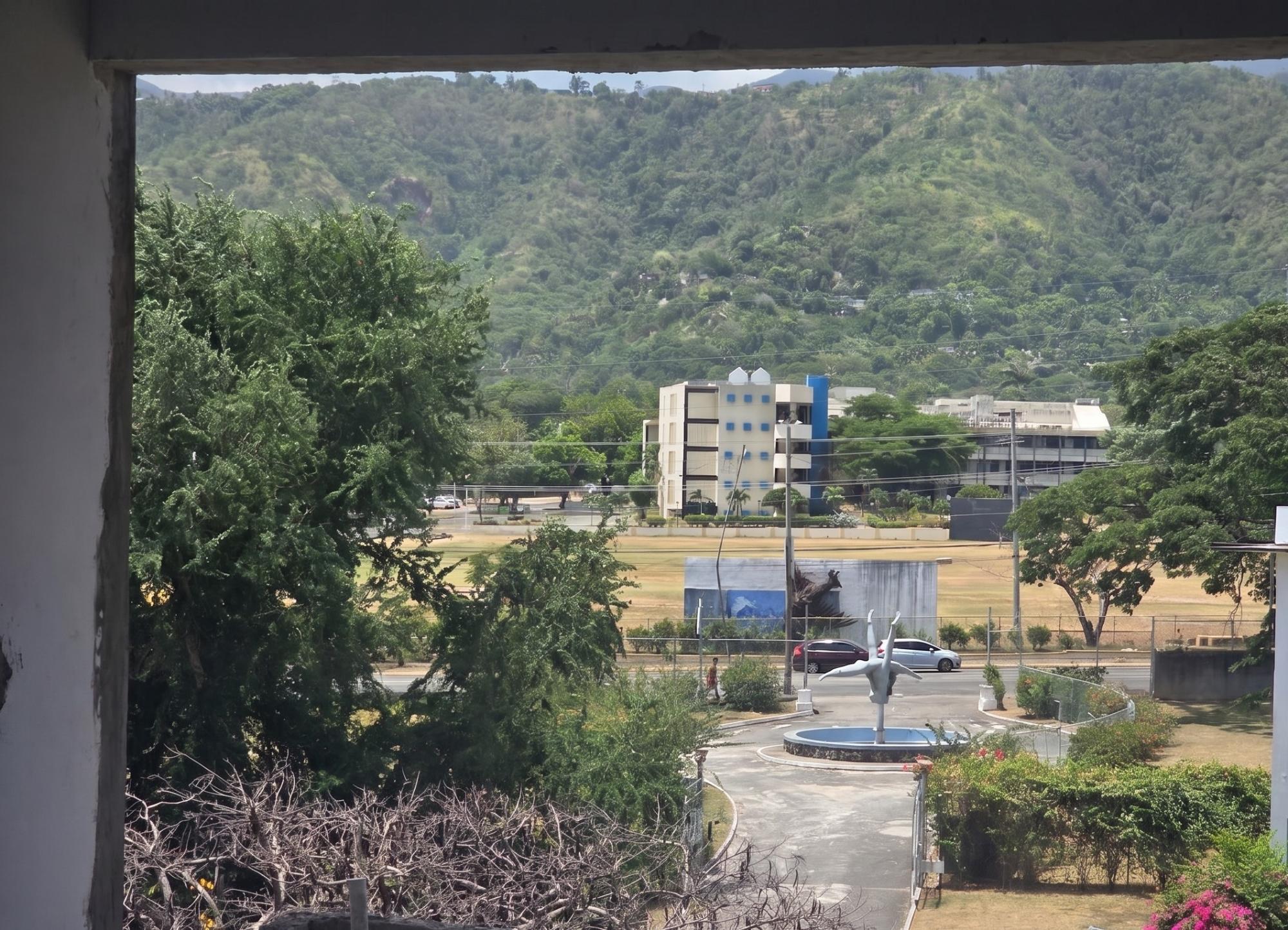 Apartment For Sale: UNIVERSITY CRESCENT, KING, Kingston 6 | $58,000,000 photo 4