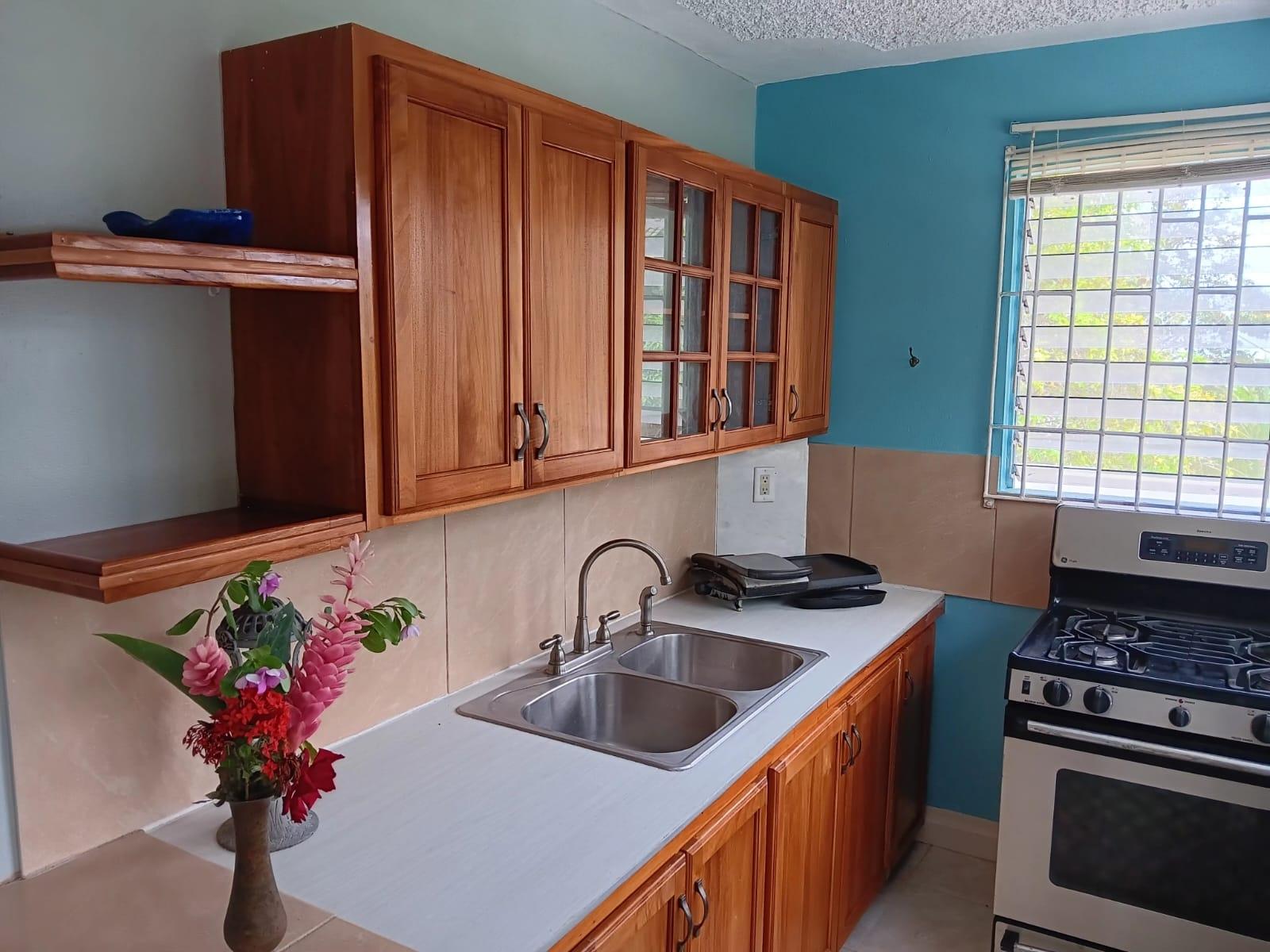 House For Sale: DIAMOND RIDGE, SPRING GAR, Spring Garden | $515,000 photo 2