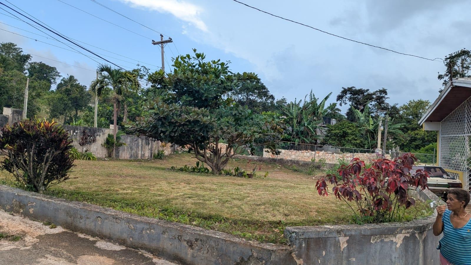 House For Sale: WALTHAM ROAD, MANDEVILLE, Mandeville | $30,000,000 photo 4