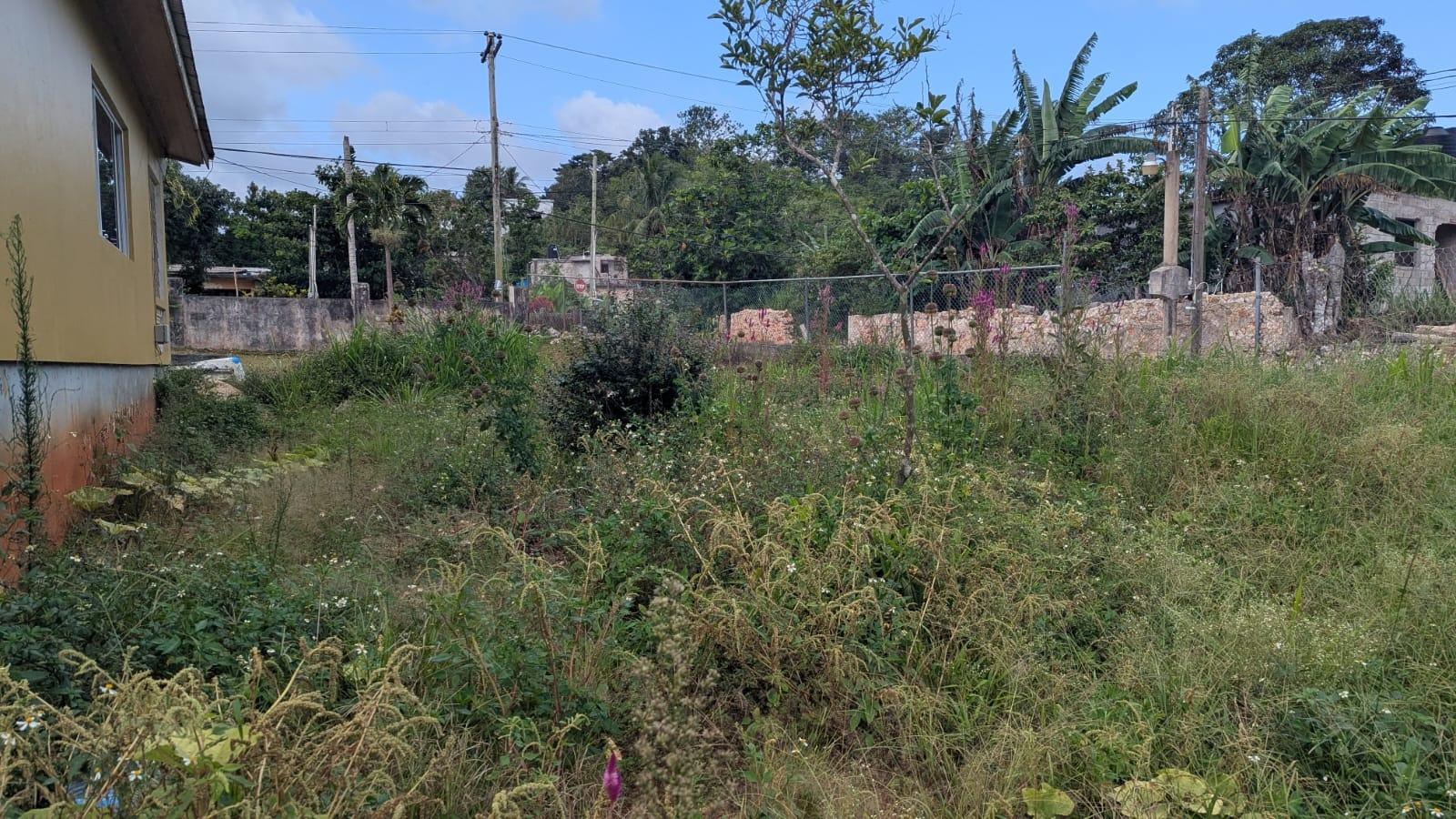 House For Sale: WALTHAM ROAD, MANDEVILLE, Mandeville | $30,000,000 photo 5
