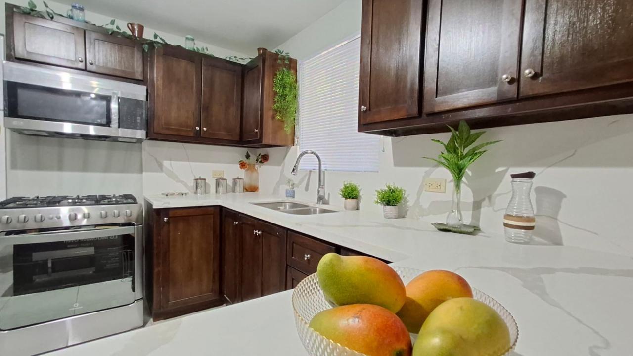 House For Rent: HARTLAND ESTATE, ST ANN, Laughlands | $1,200 photo 8