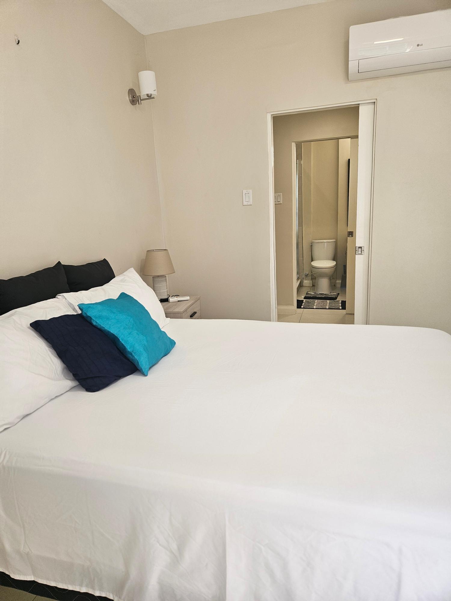 Apartment For Rent: MUSGRAVE AVENUE, Kingston 5 | $240,000 photo 14