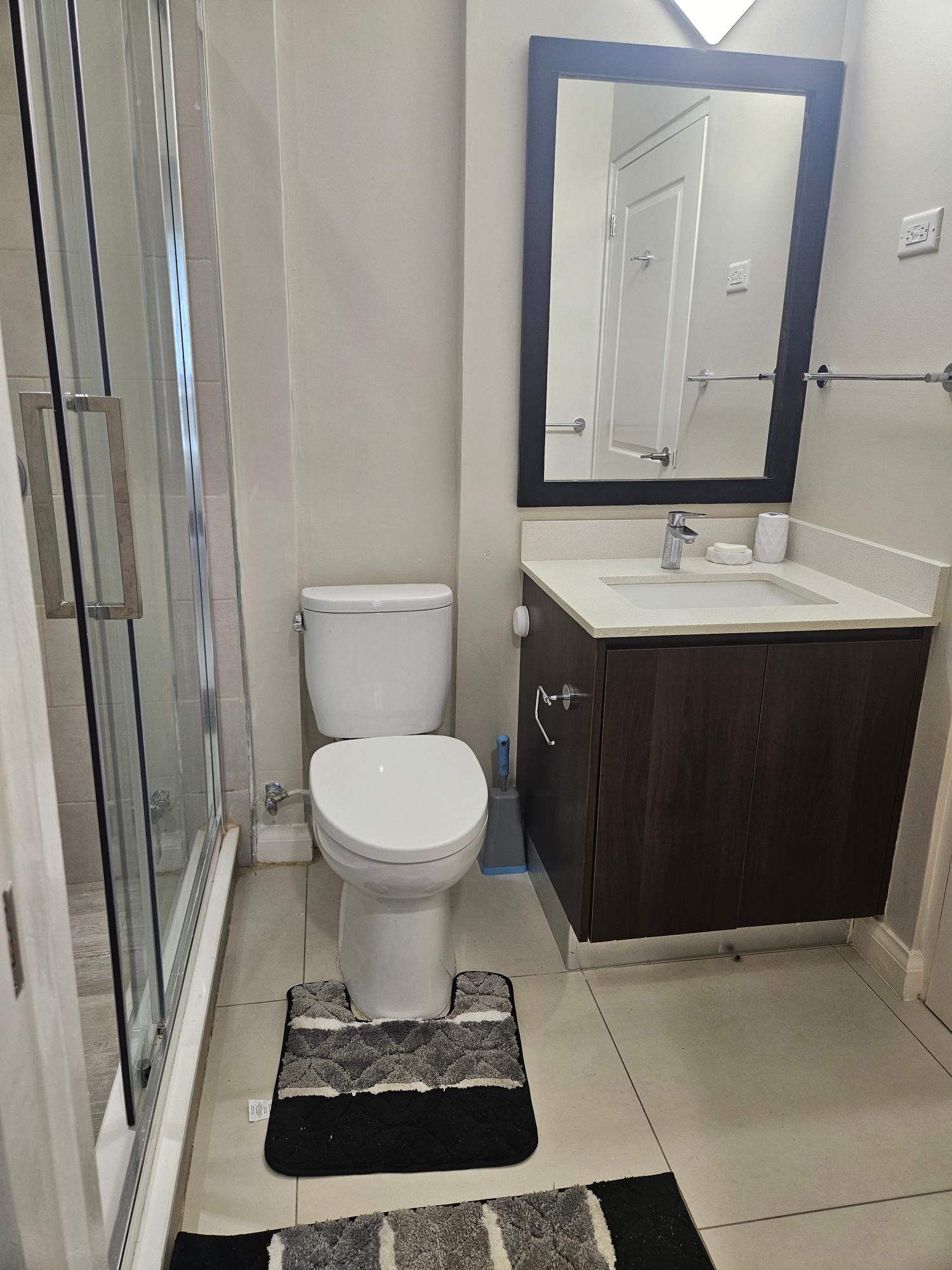 Apartment For Rent: MUSGRAVE AVENUE, Kingston 5 | $240,000 photo 21