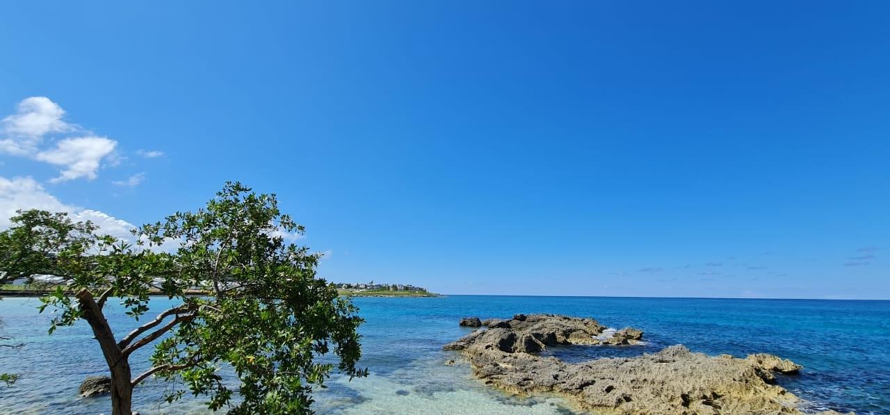 House For Sale: OCEAN POINT, Point | $49,000,000 photo 8