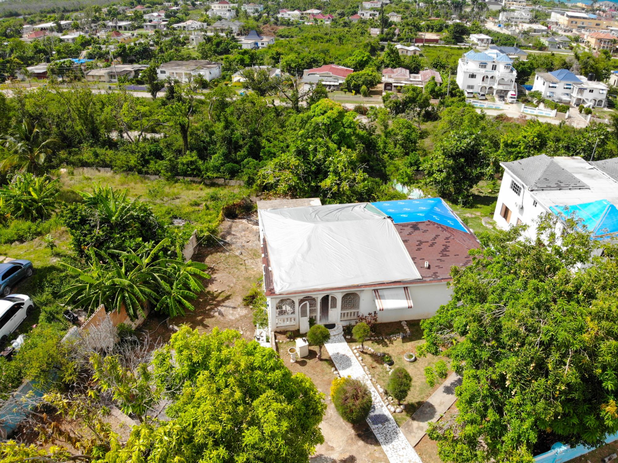 House For Sale: GREENWOOD AVE, ST JAMES, Montego Bay | $48,000,000 photo 2