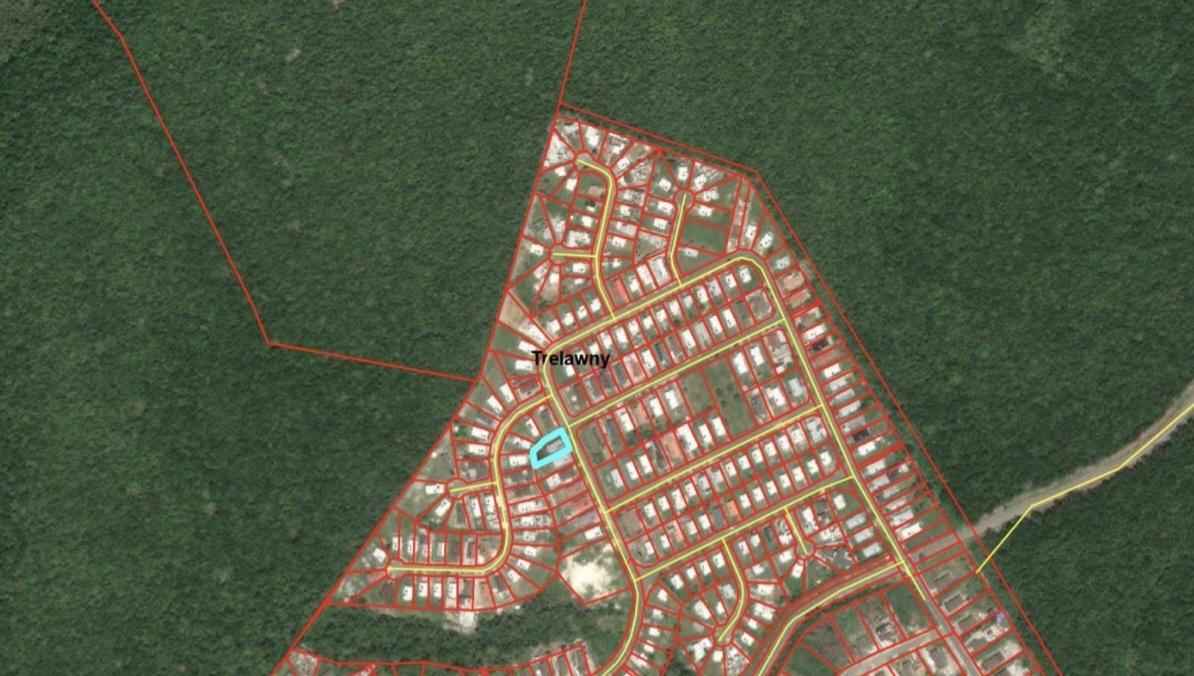 House For Sale: CORAL SPRING VILLAGE, Coral Spring | $36,000,000 photo 7