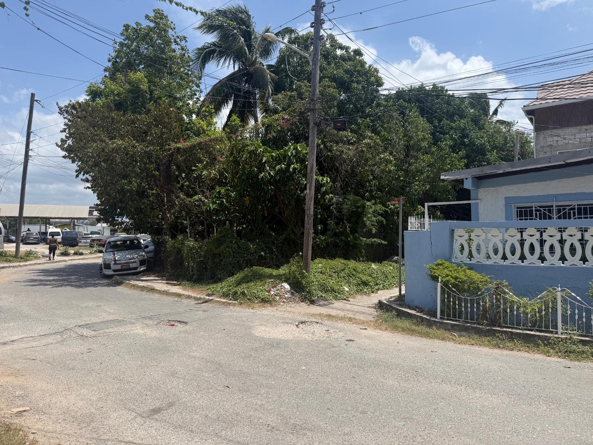 House For Sale: HENDERSON DRIVE, DELA VEG, Spanish Town | $13,900,000 photo 4