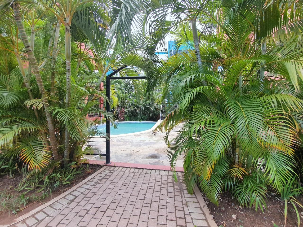 Apartment For Rent: 11 MUSGRAVE AVENUE, Kingston 10 | $1,200 photo 2