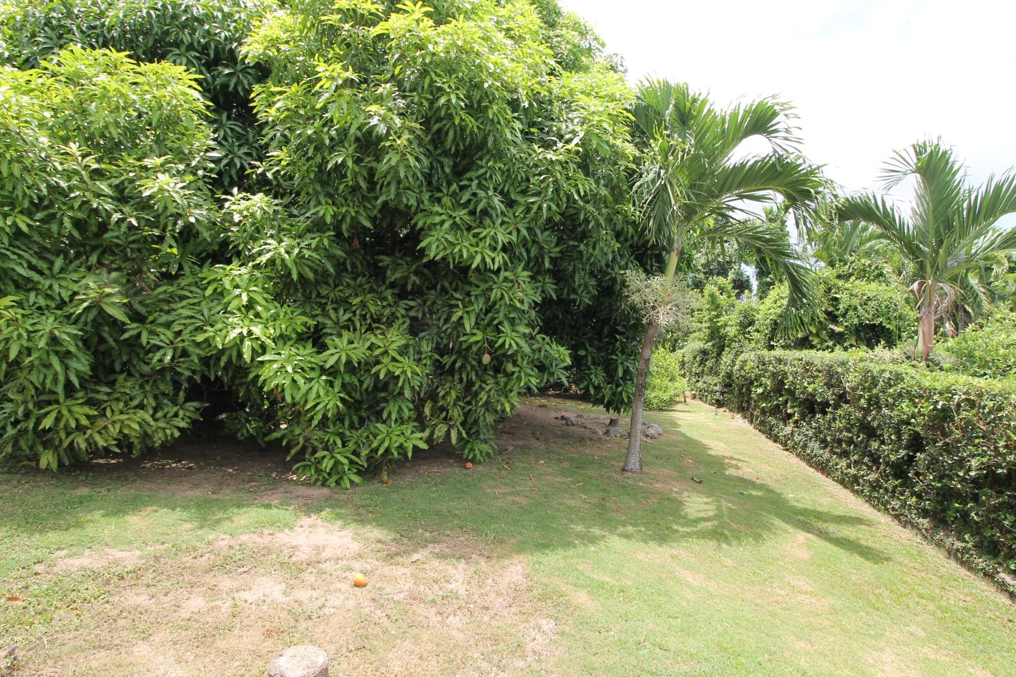 House For Sale: FARRINGDON HEIGHTS, Kingston 6 | $160,000,000 photo 8
