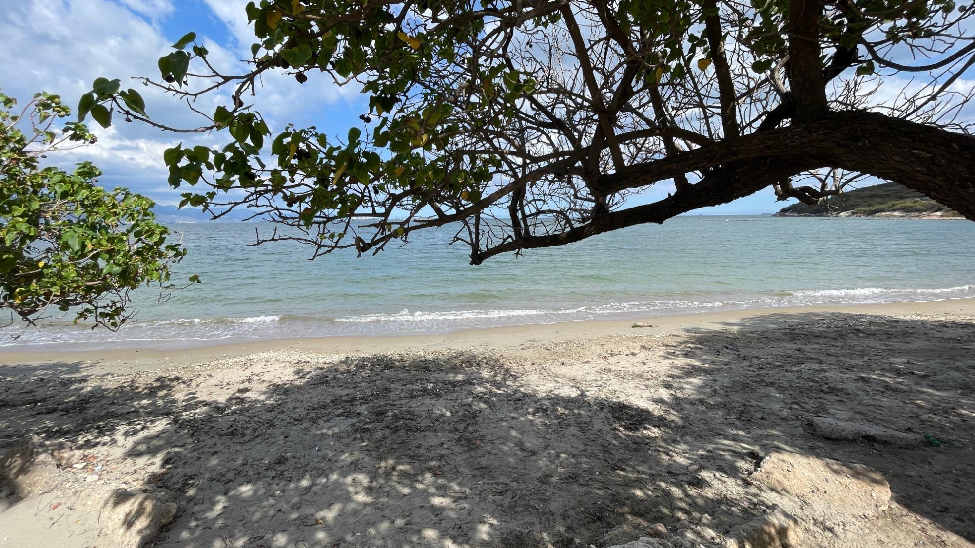 Apartment For Rent: BAYFRONT APARTMENTS, Port Henderson | $185,000 photo 23