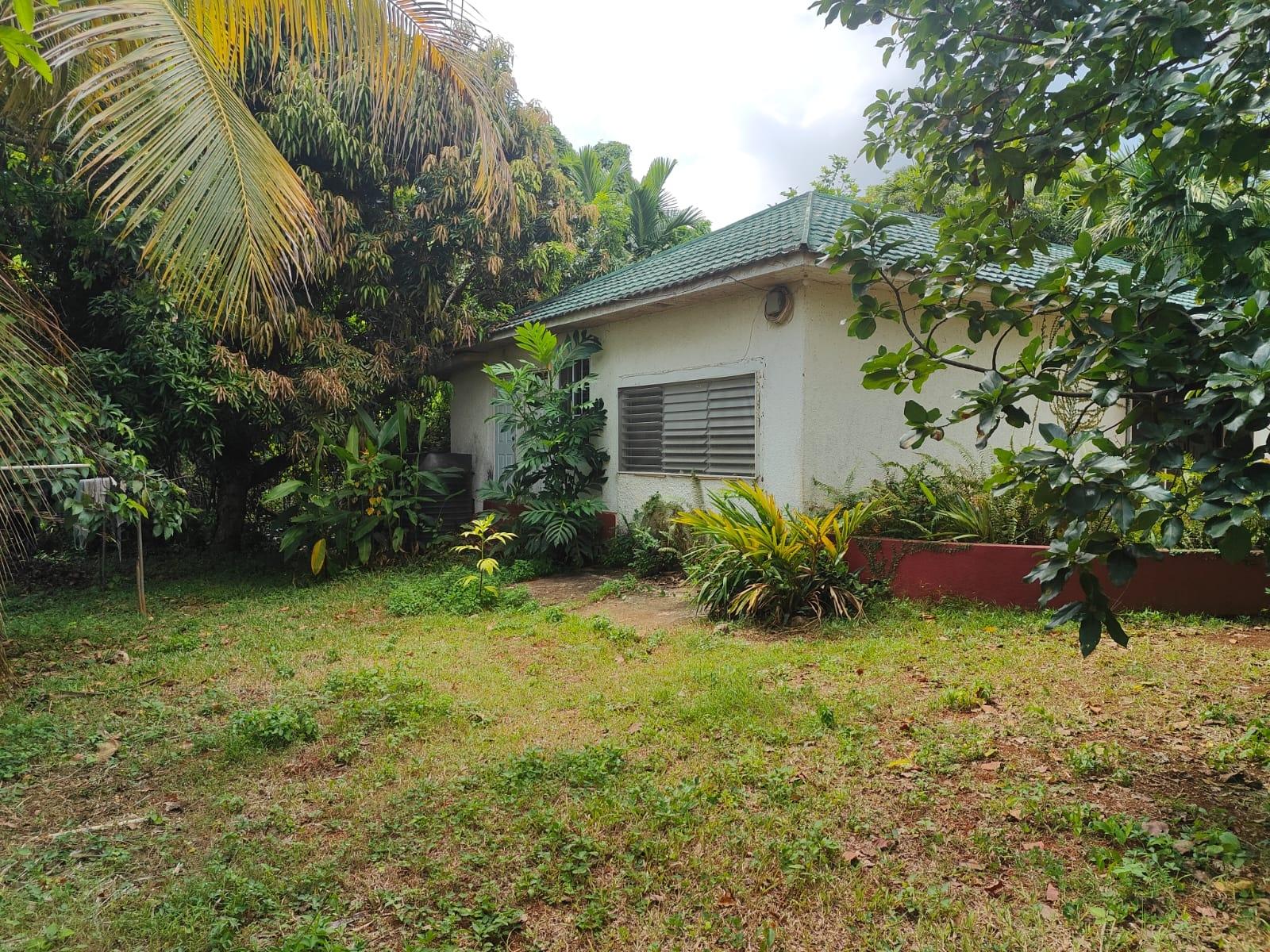 House For Sale: WILLOW RUN, Kingston 8 | $55,000,000 photo 2