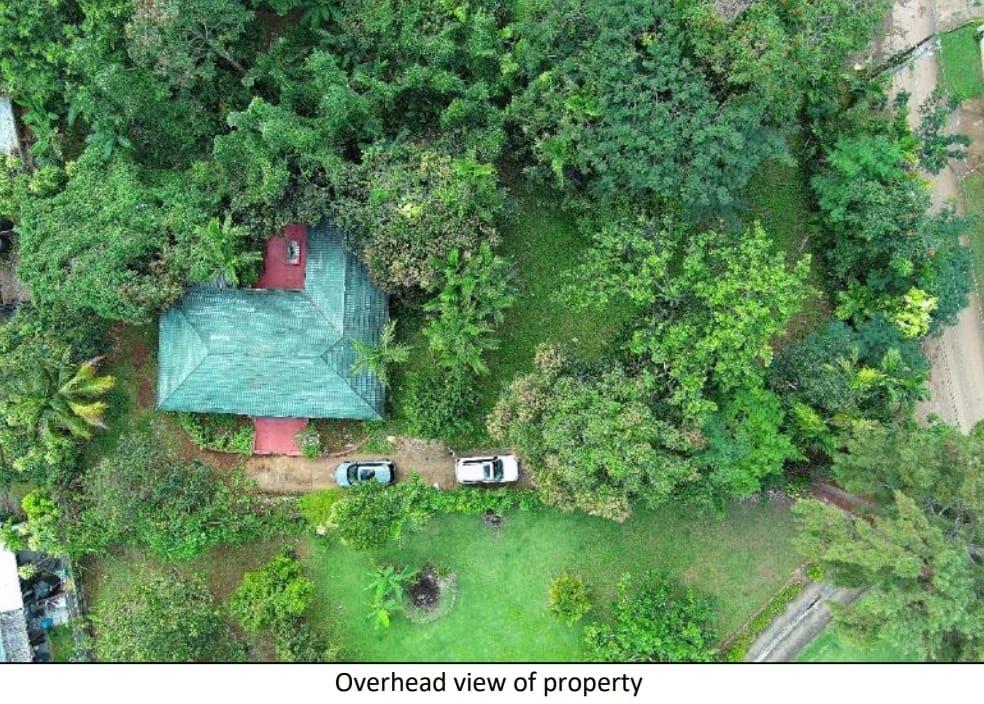 House For Sale: WILLOW RUN, Kingston 8 | $55,000,000 photo 7