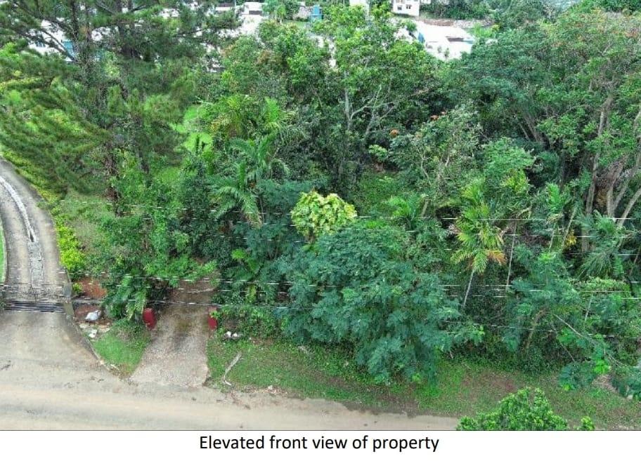 House For Sale: WILLOW RUN, Kingston 8 | $55,000,000 photo 8