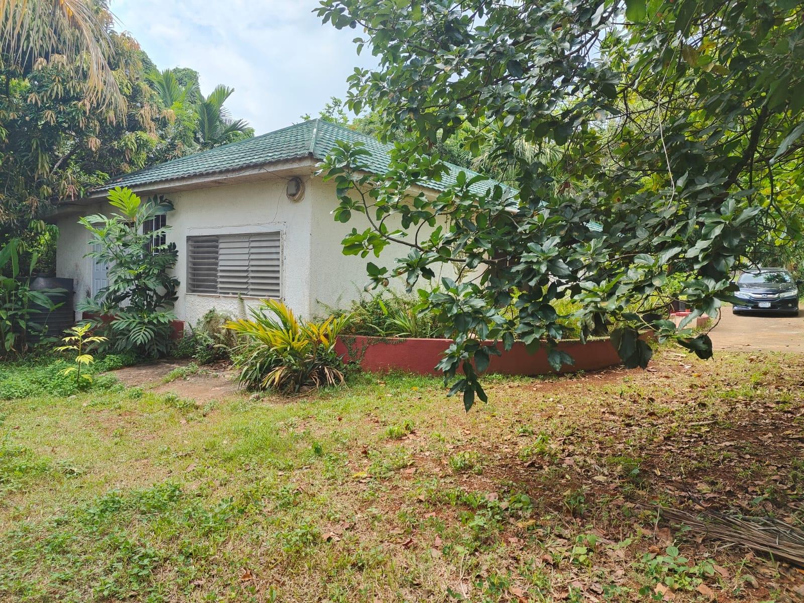 House For Sale: WILLOW RUN, Kingston 8 | $55,000,000 photo 14