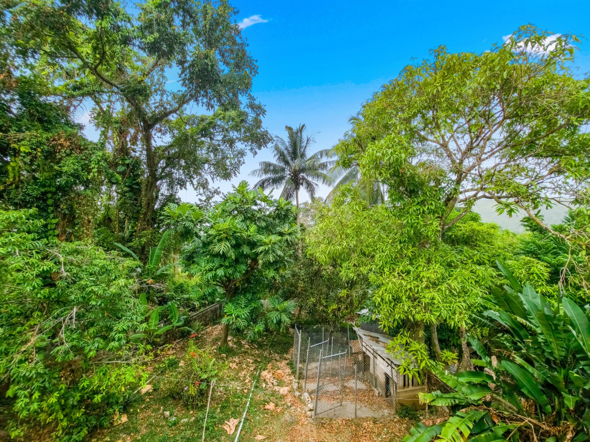 House For Rent: CONTENT PEN, Lime Hall | $75,000 photo 9