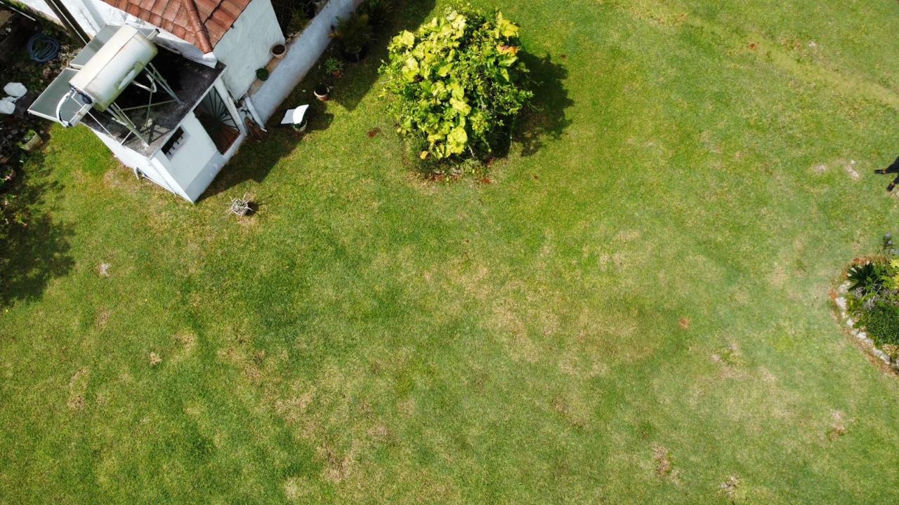 House For Sale: DALKEITH GREAT HOUSE, KNO, Knockpatrick | $91,000,000 photo 6