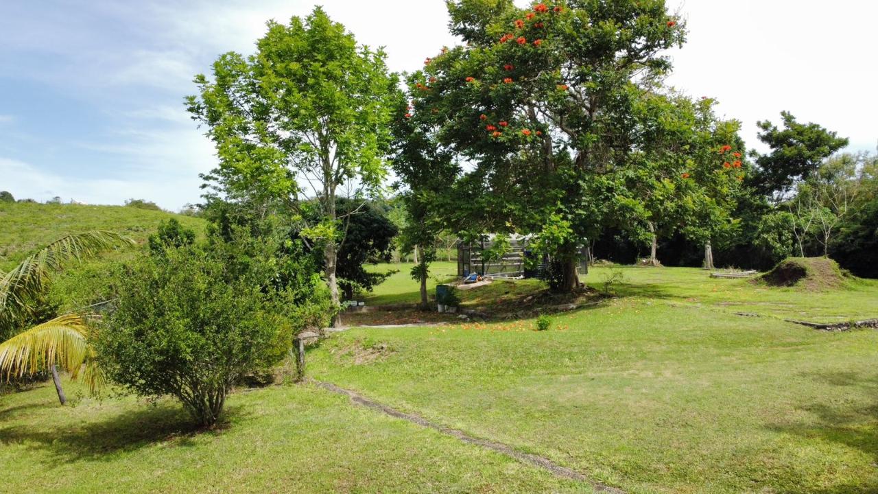 House For Sale: DALKEITH GREAT HOUSE, KNO, Knockpatrick | $91,000,000 photo 11