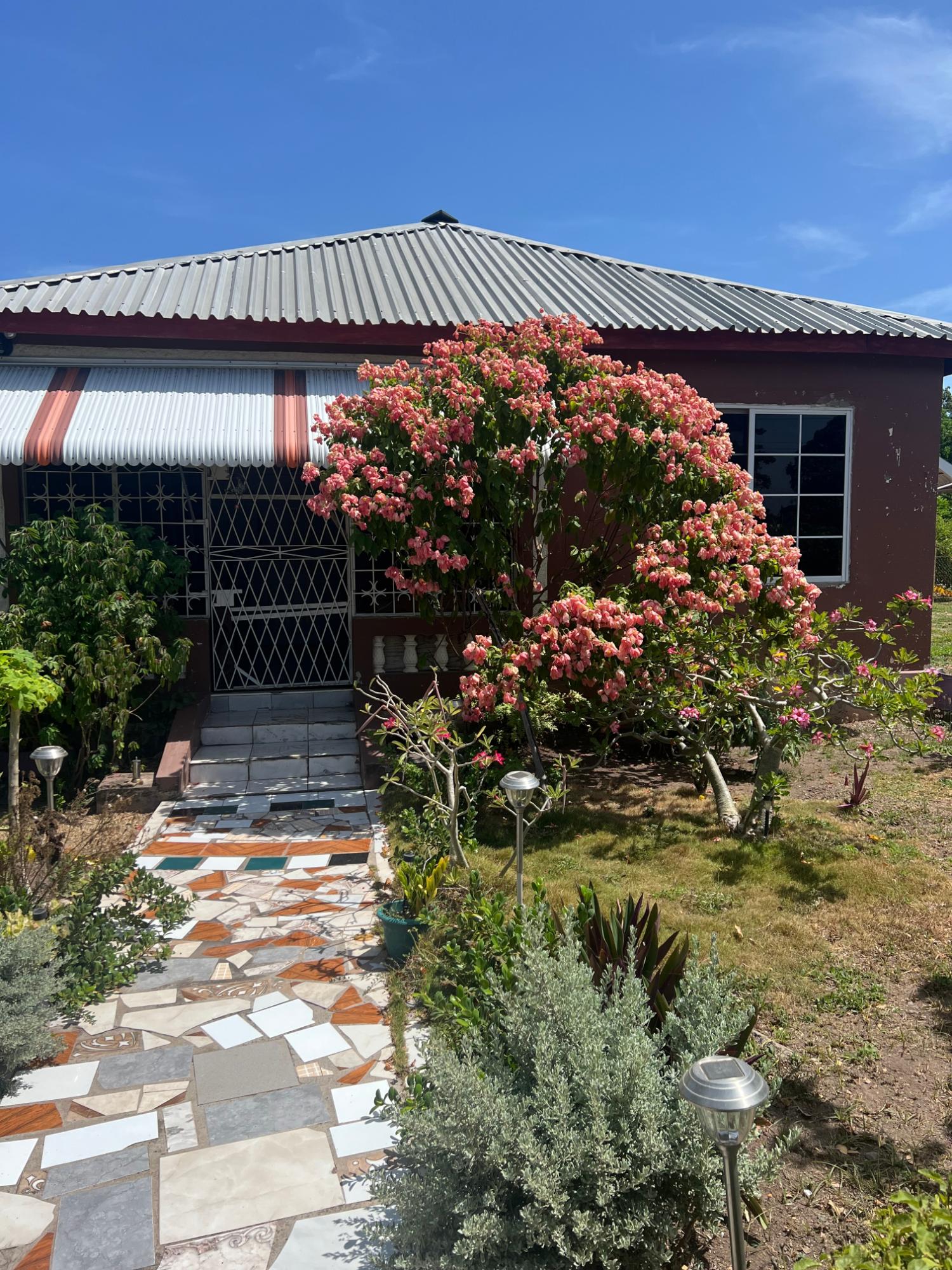 House For Sale: LIONEL TOWN, CLARENDON, Lionel Town | $22,000,000 photo 2