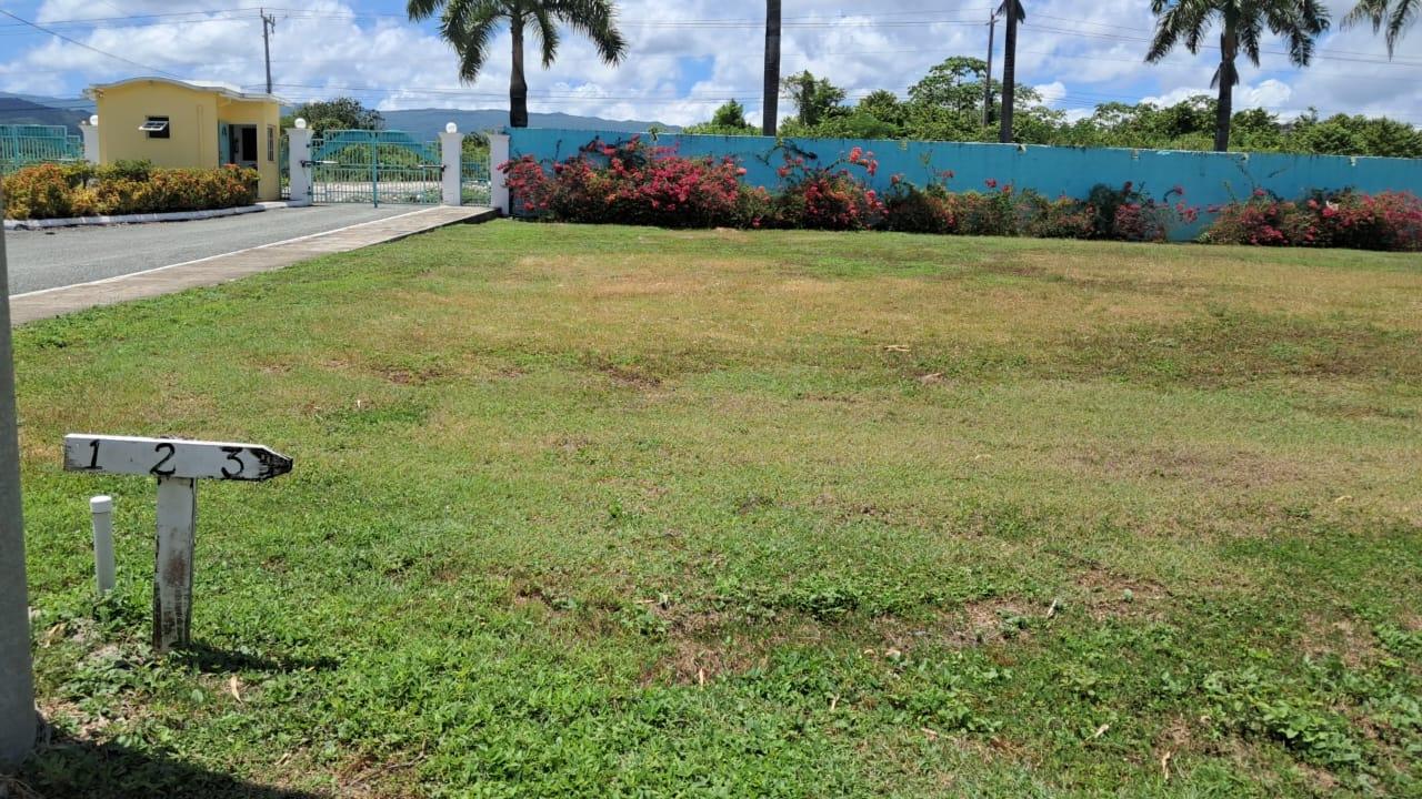 House For Sale: LOWER FAIR PROSPECT, Fairy Hill | $65,000,000 photo 17
