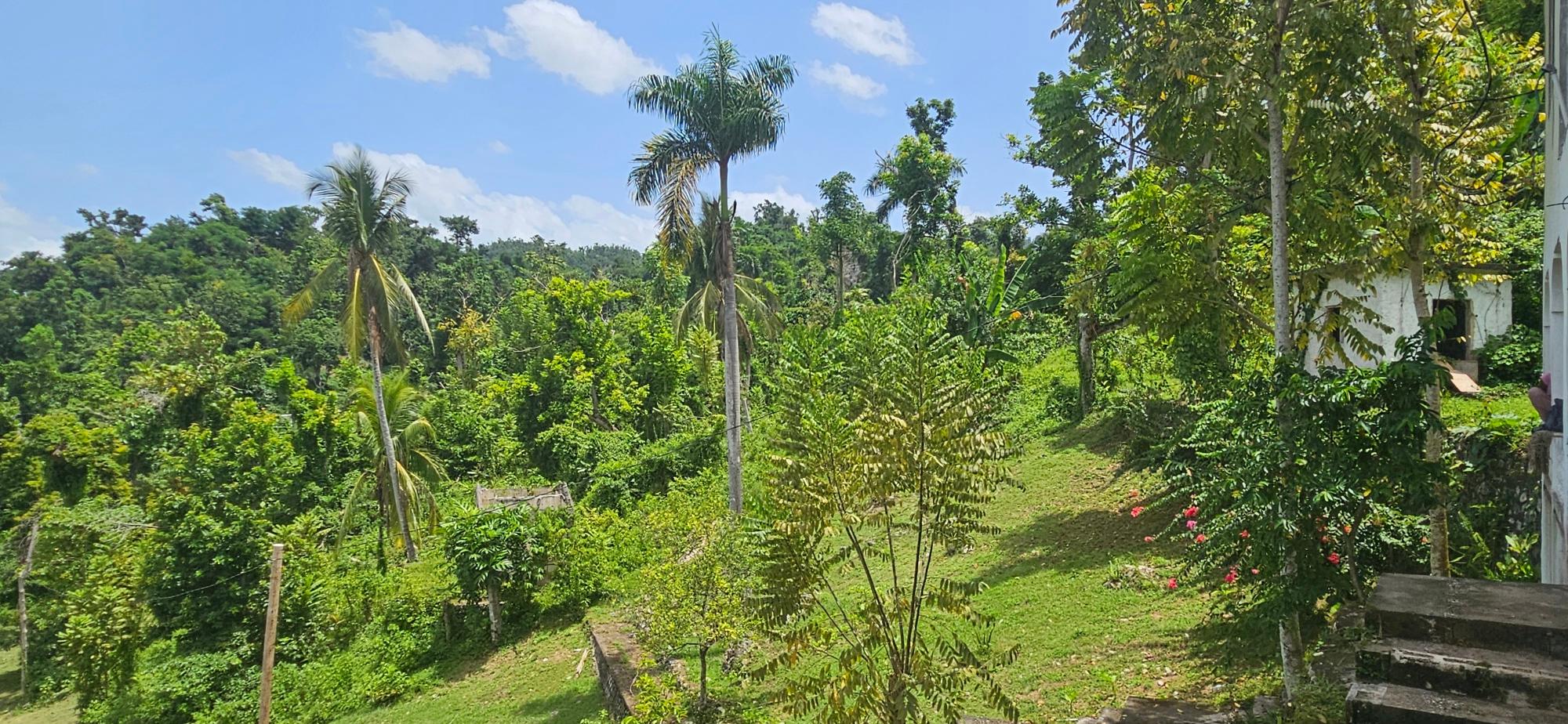 House For Sale: ROARING RIVER, Roaring River | $280,000 photo 18
