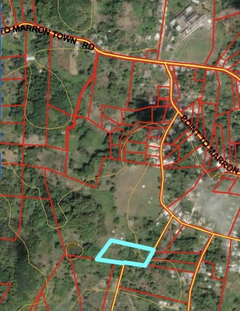 House For Sale: PHOENIX MOUNTAIN, Montego Bay | $20,000,000 photo 2