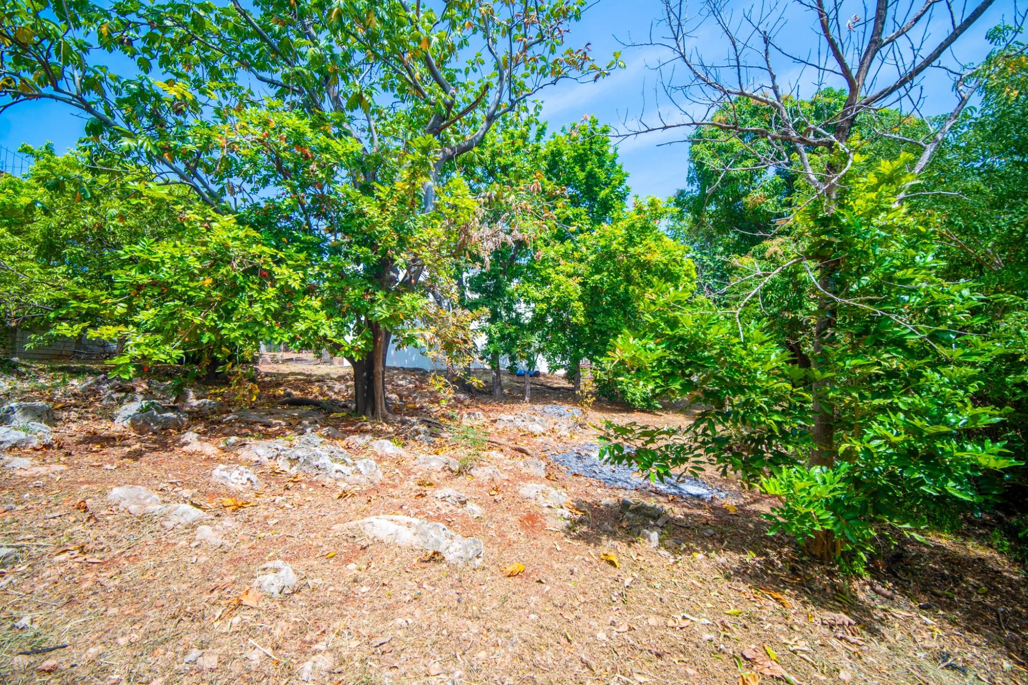 House For Sale: RED HILLS ROAD, Kingston 19 | $975,000 photo 21