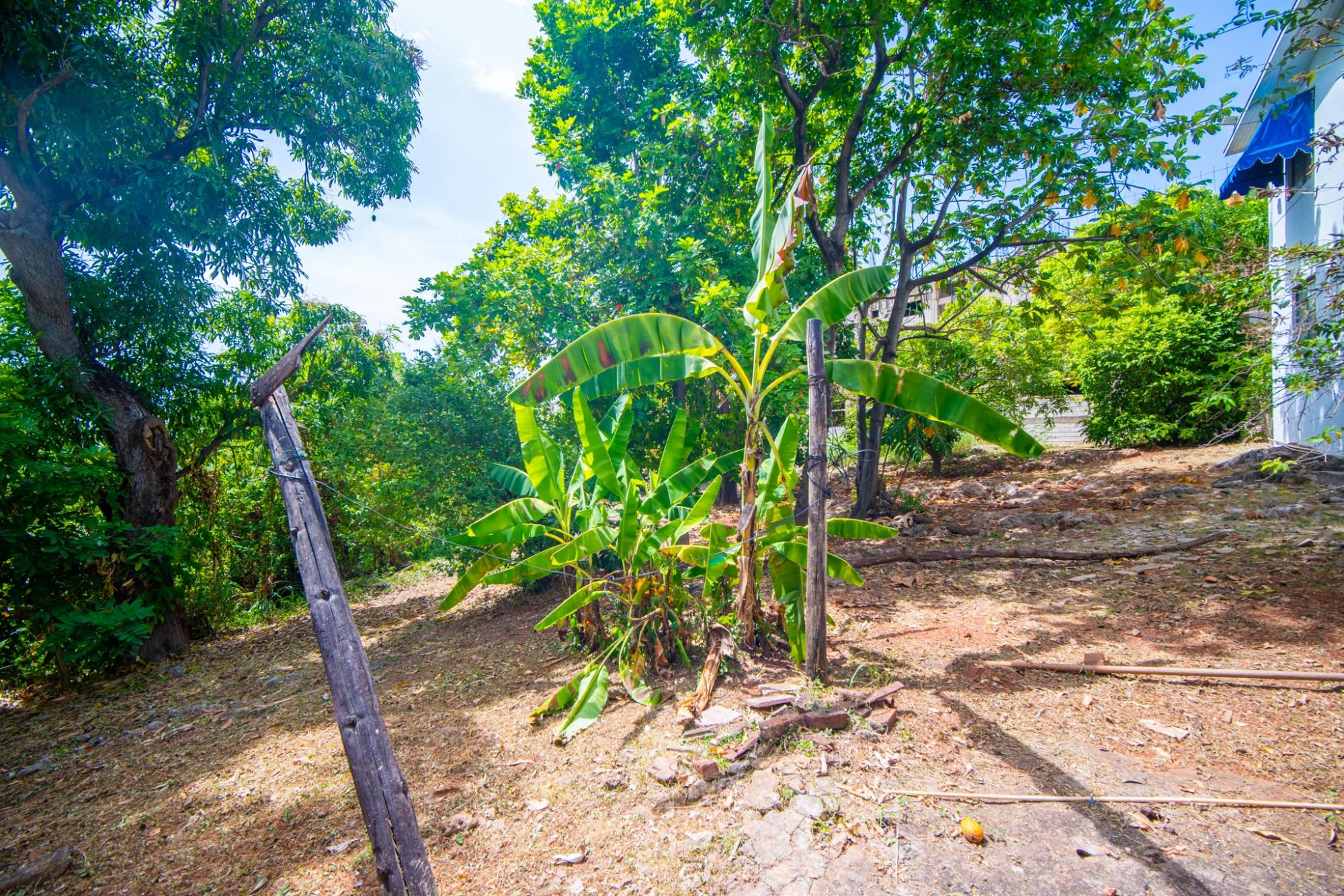House For Sale: RED HILLS ROAD, Kingston 19 | $975,000 photo 23