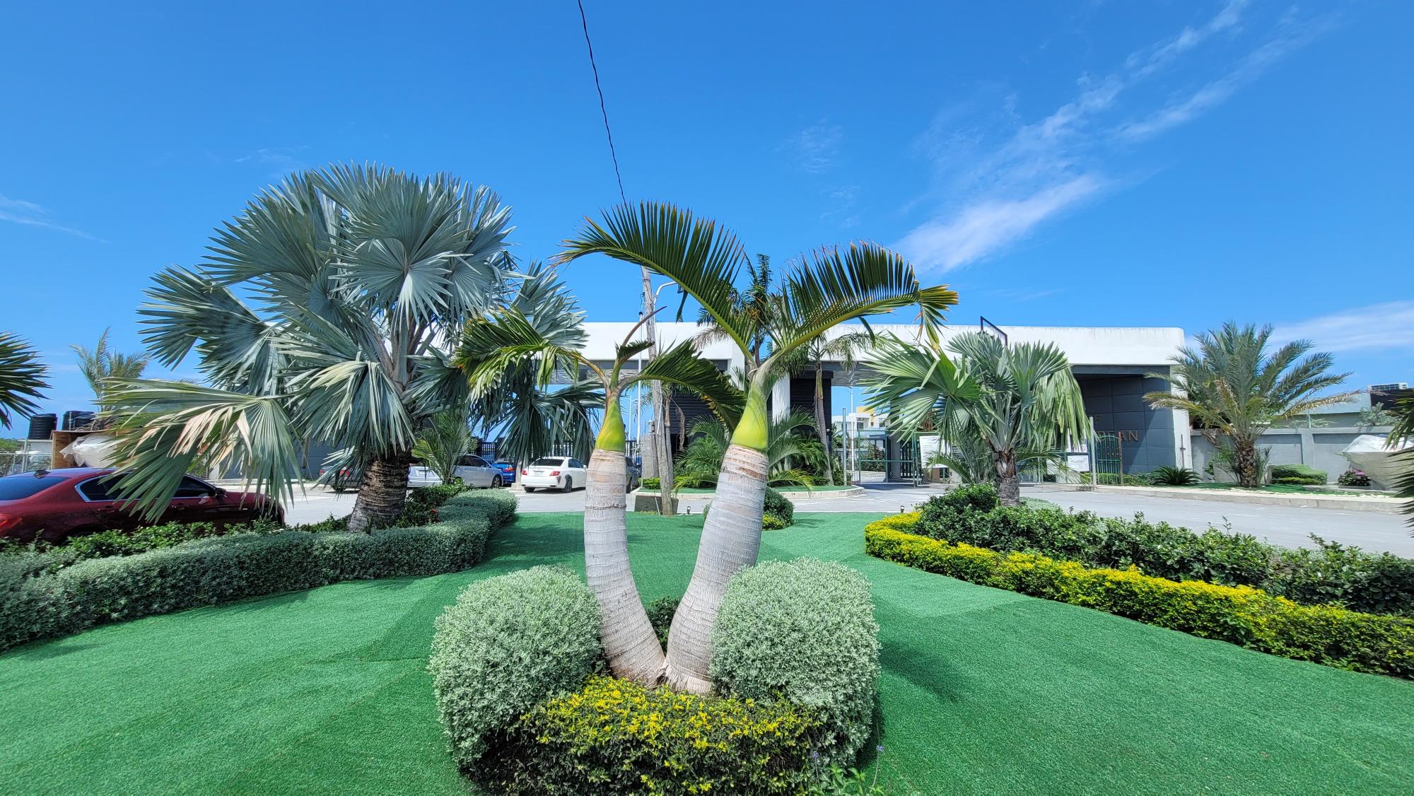 Apartment For Sale: PARADISIAC BEACH CLUB, Richmond | $435,000 photo 20