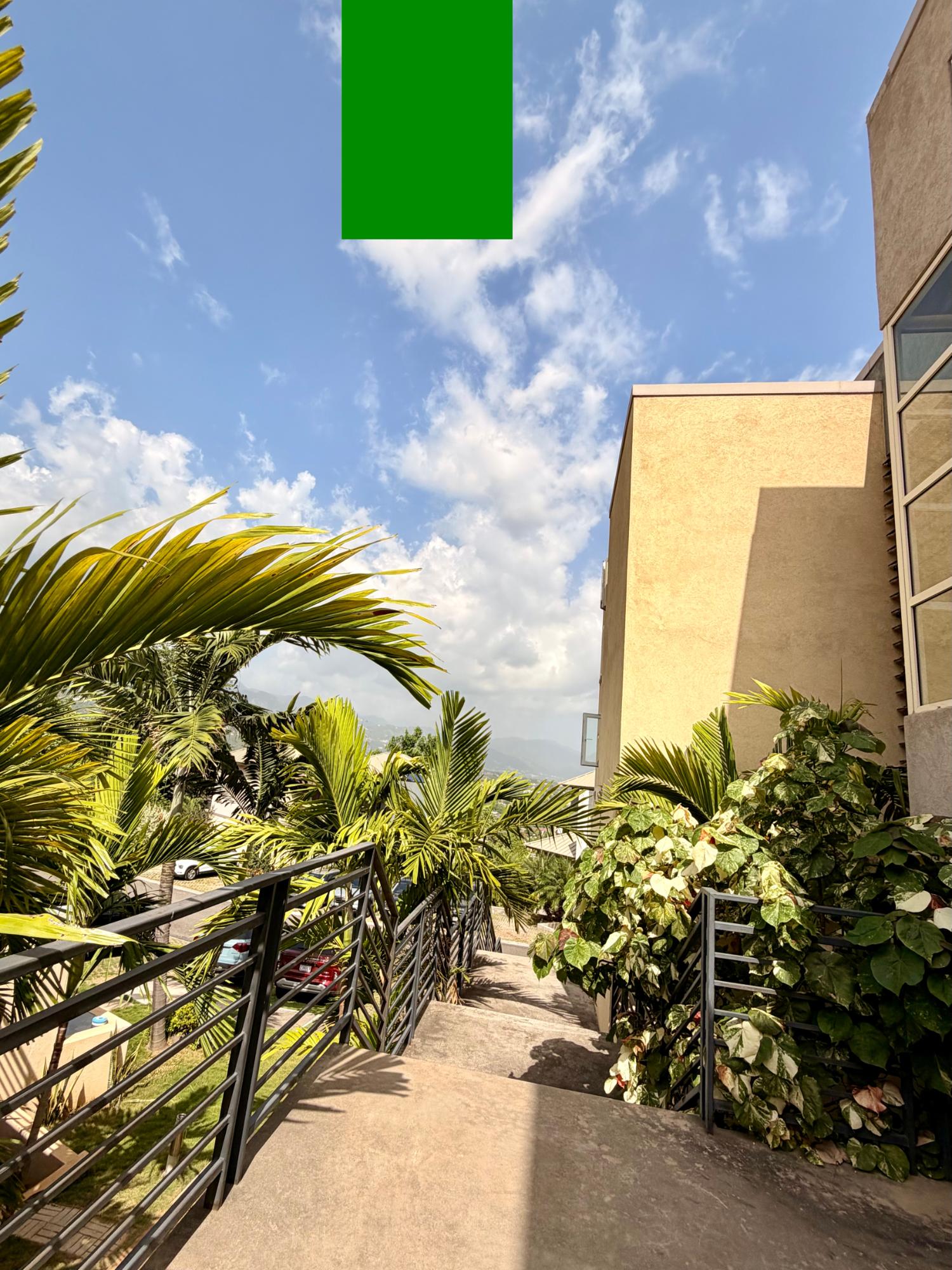 Apartment For Rent: MAYFAIR CRESCENT, Kingston 19 | $165,000 photo 14