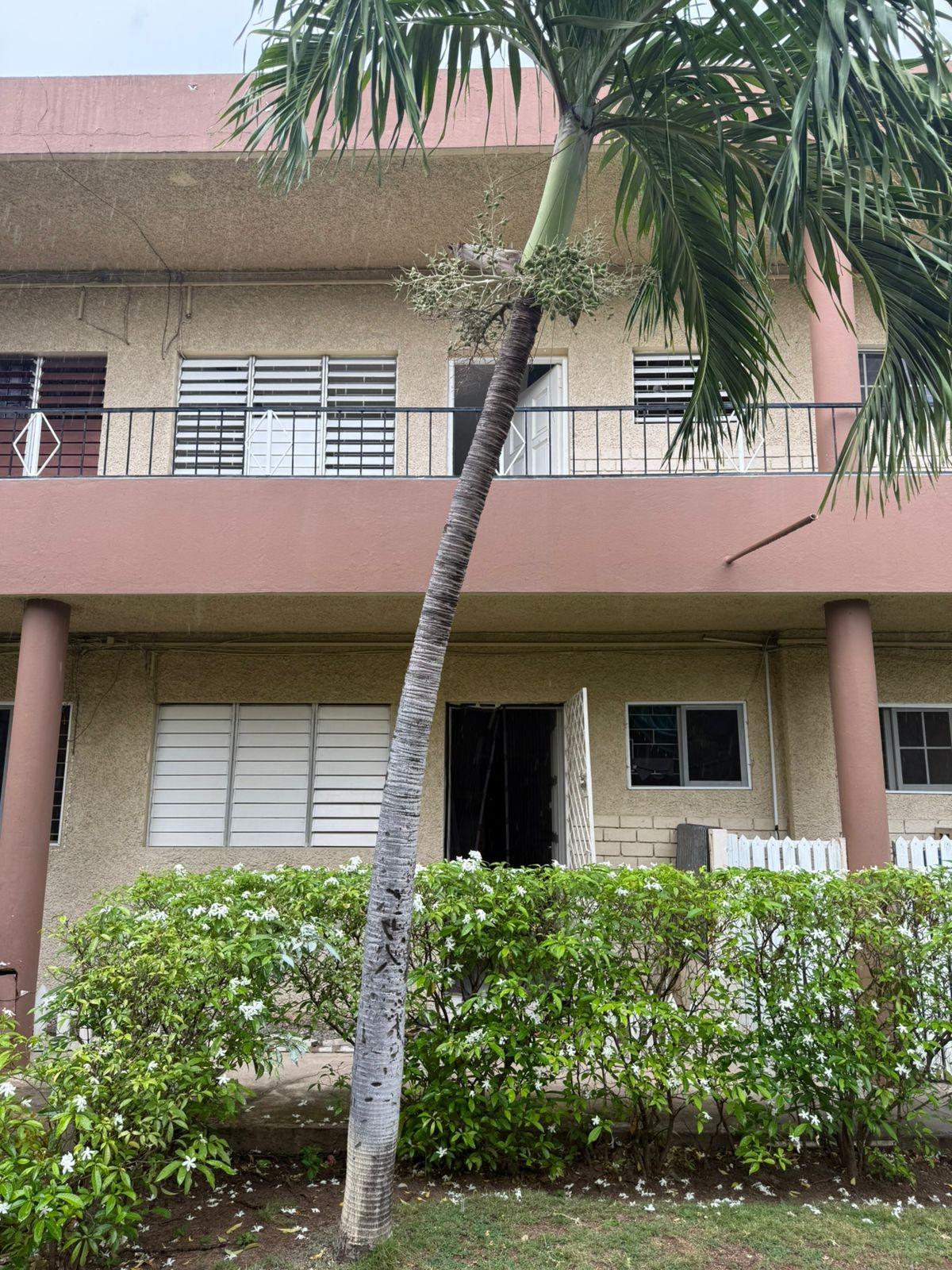 Apartment For Rent: WINCHESTER ROAD, Kingston 5 | $220,000 photo 2