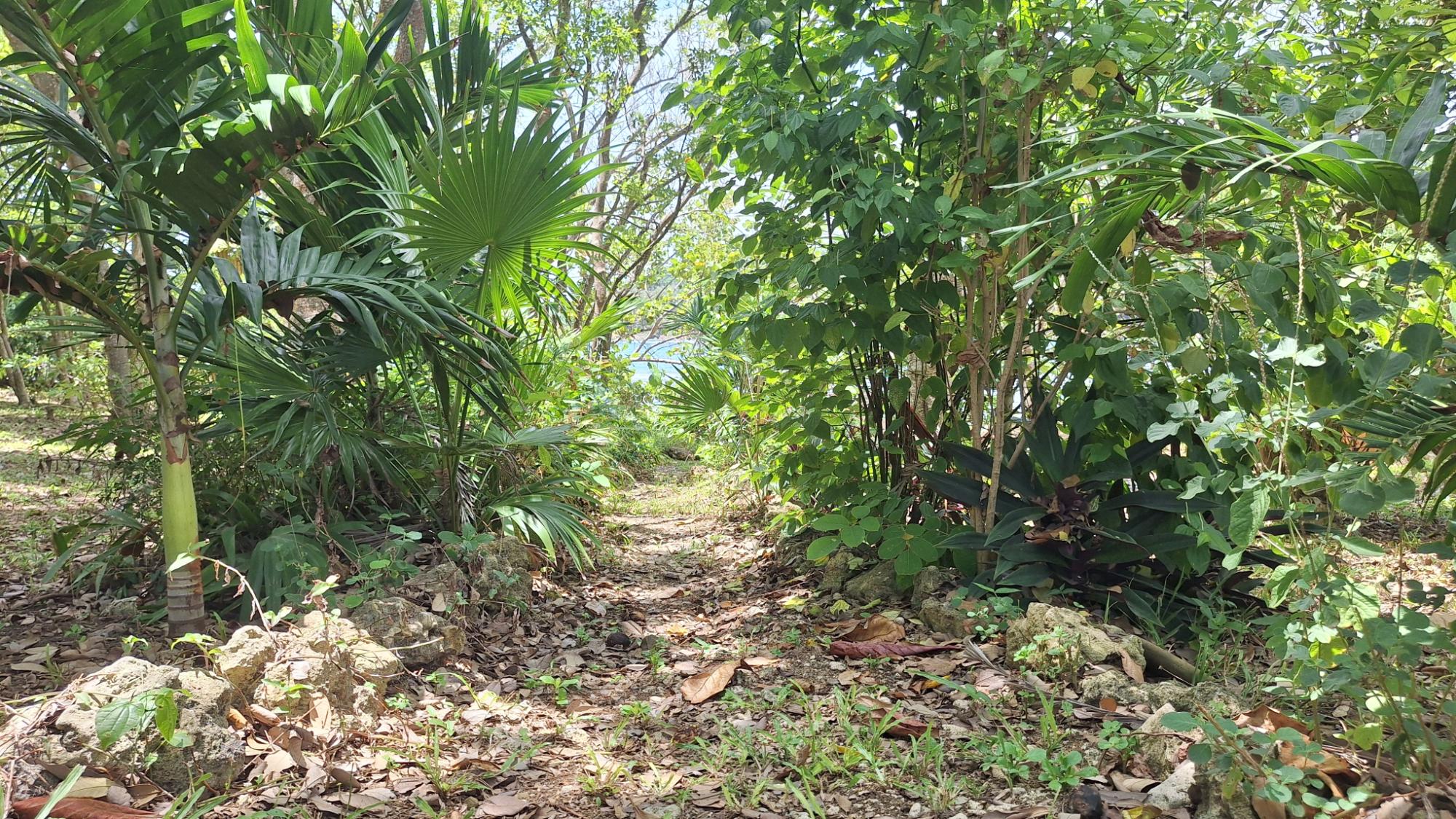 House For Sale: DON CHRISTOPHER@~apos;S POINT, Robins Bay | $314,000 photo 7